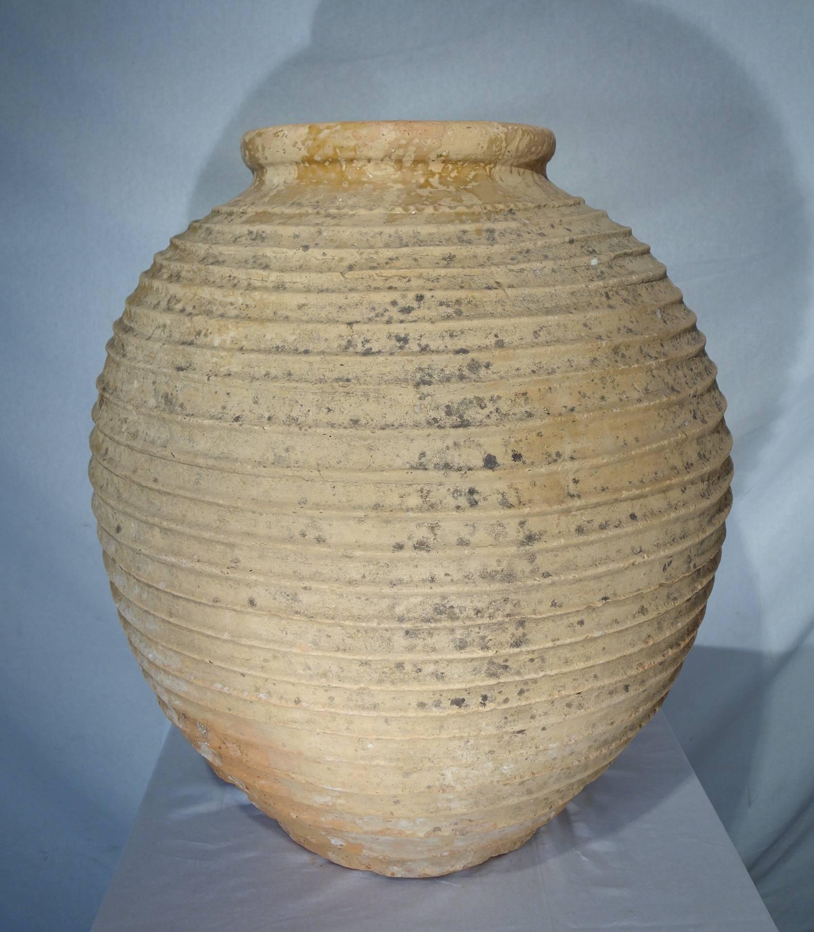 19th Century Mediterranean Terracotta Large Amphora Jar 5