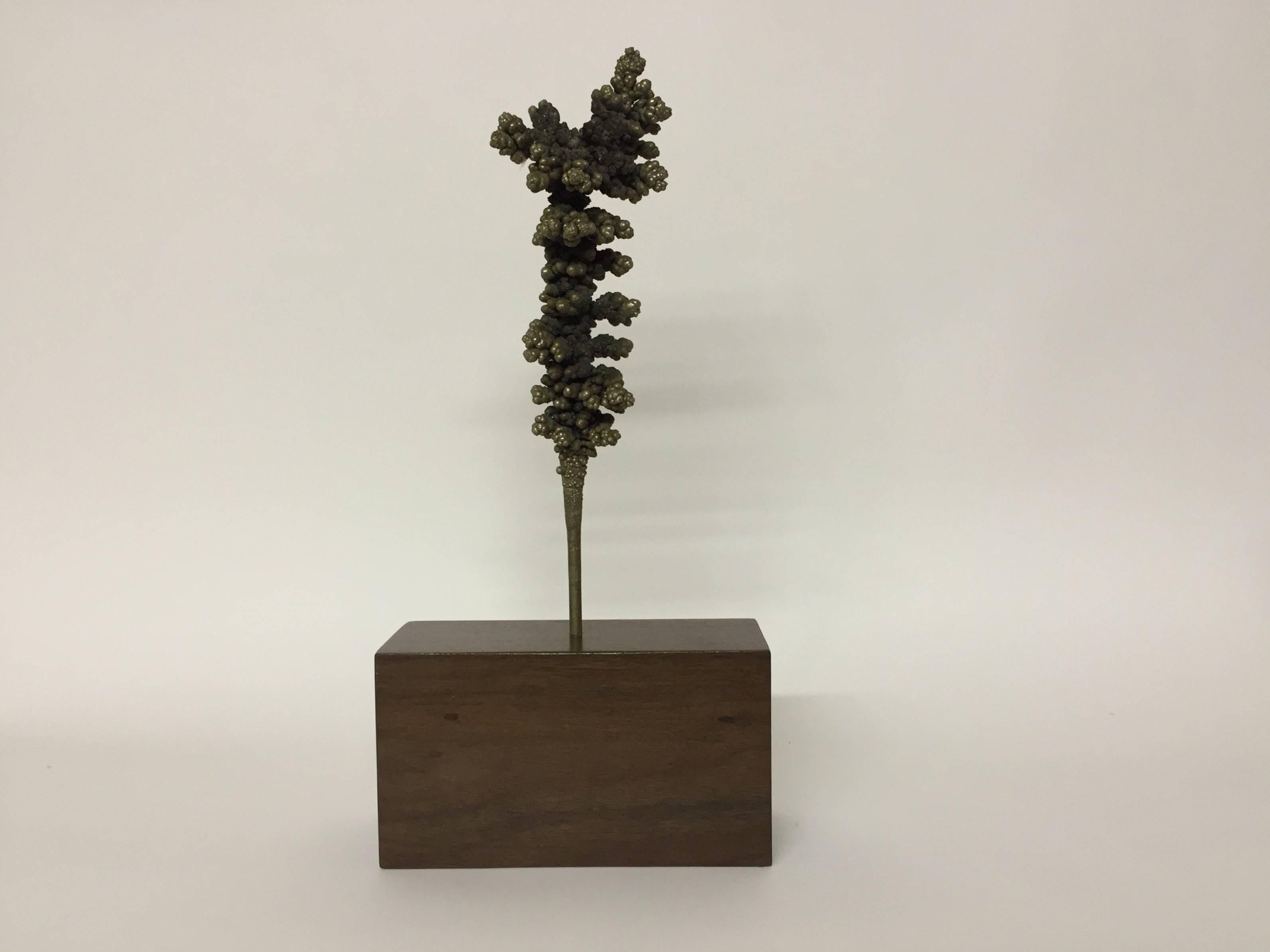 Wonderful tactile metal sculpture in the manner of Klaus Ihlenfeld, one time assistant to Harry Bertoia. The sculpture rests on a solid piece of walnut and is made of metal alloy, circa 1960. The overall height is 15.75