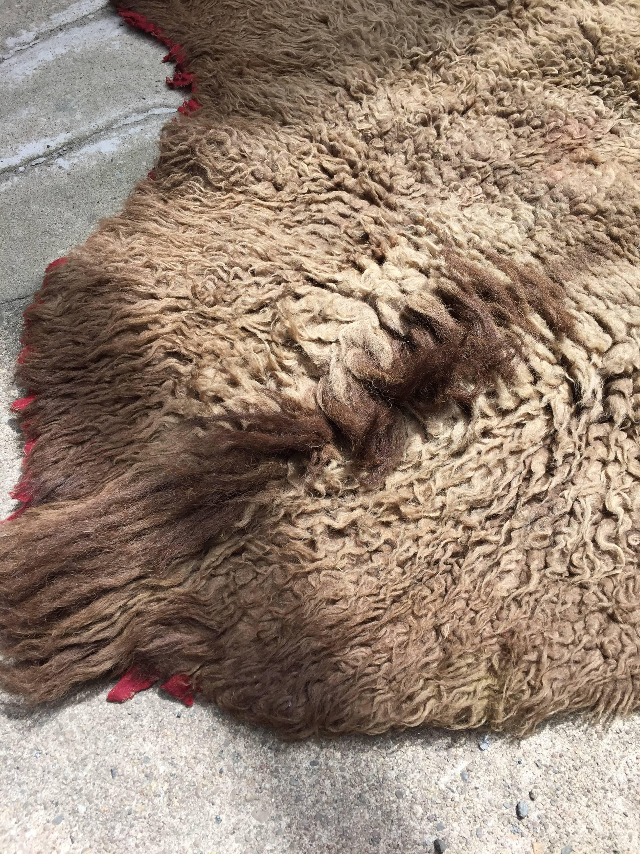 buffalo skin rug