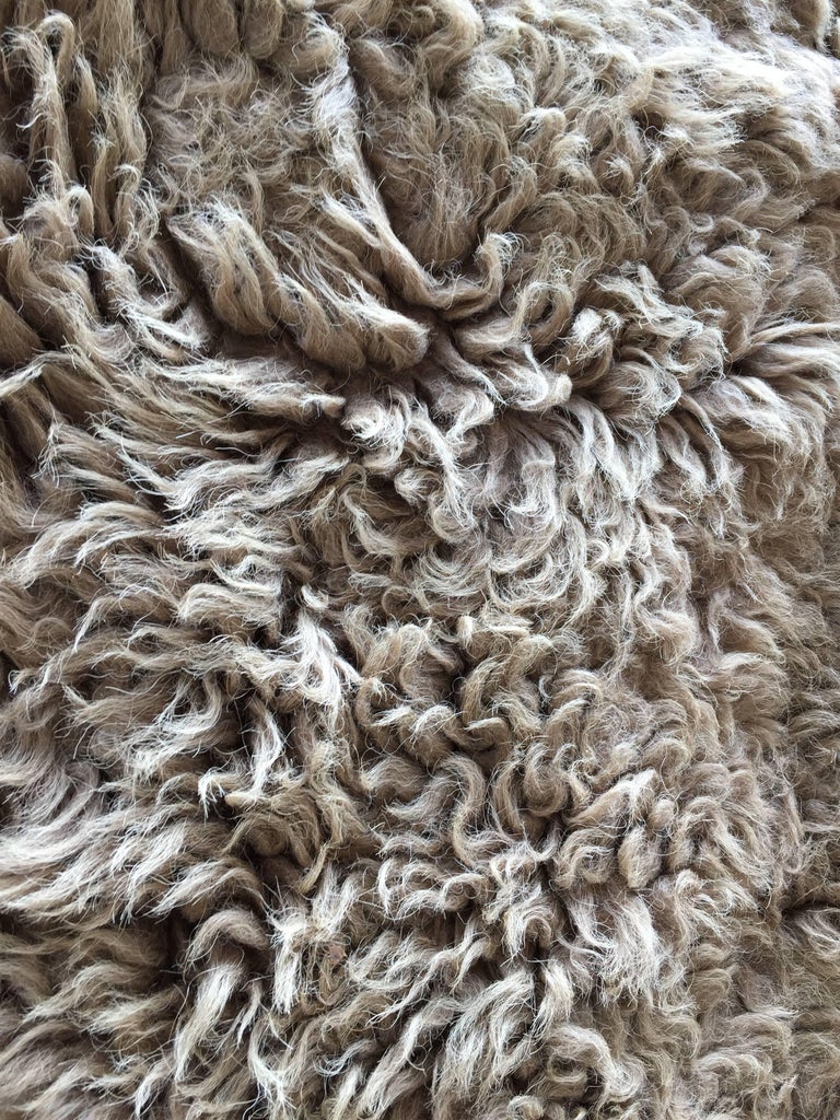 Early 1910s Buffalo Hide Rug For Sale at 1stDibs