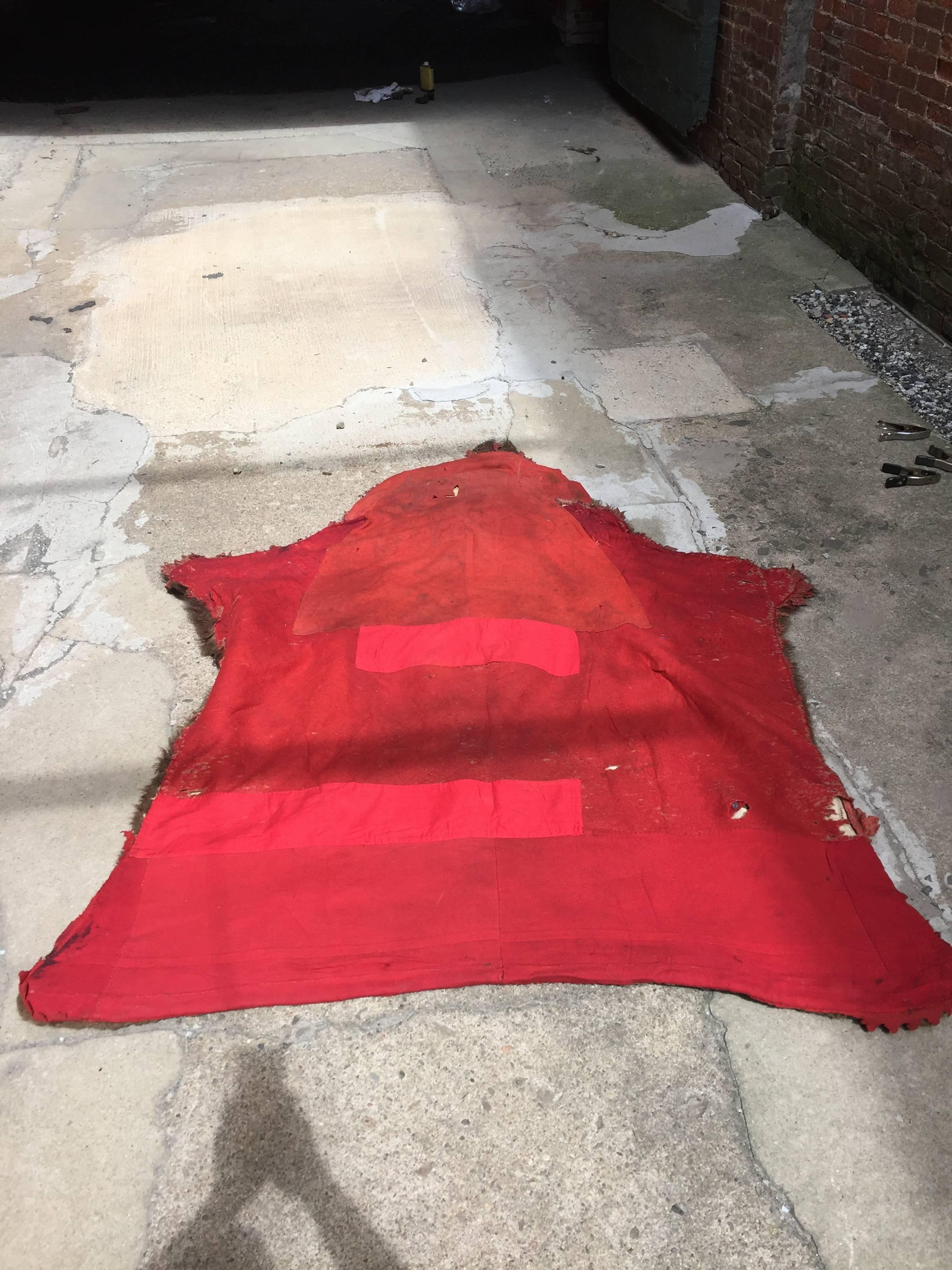 Early 1910s Buffalo Hide Rug In Good Condition In Garnerville, NY