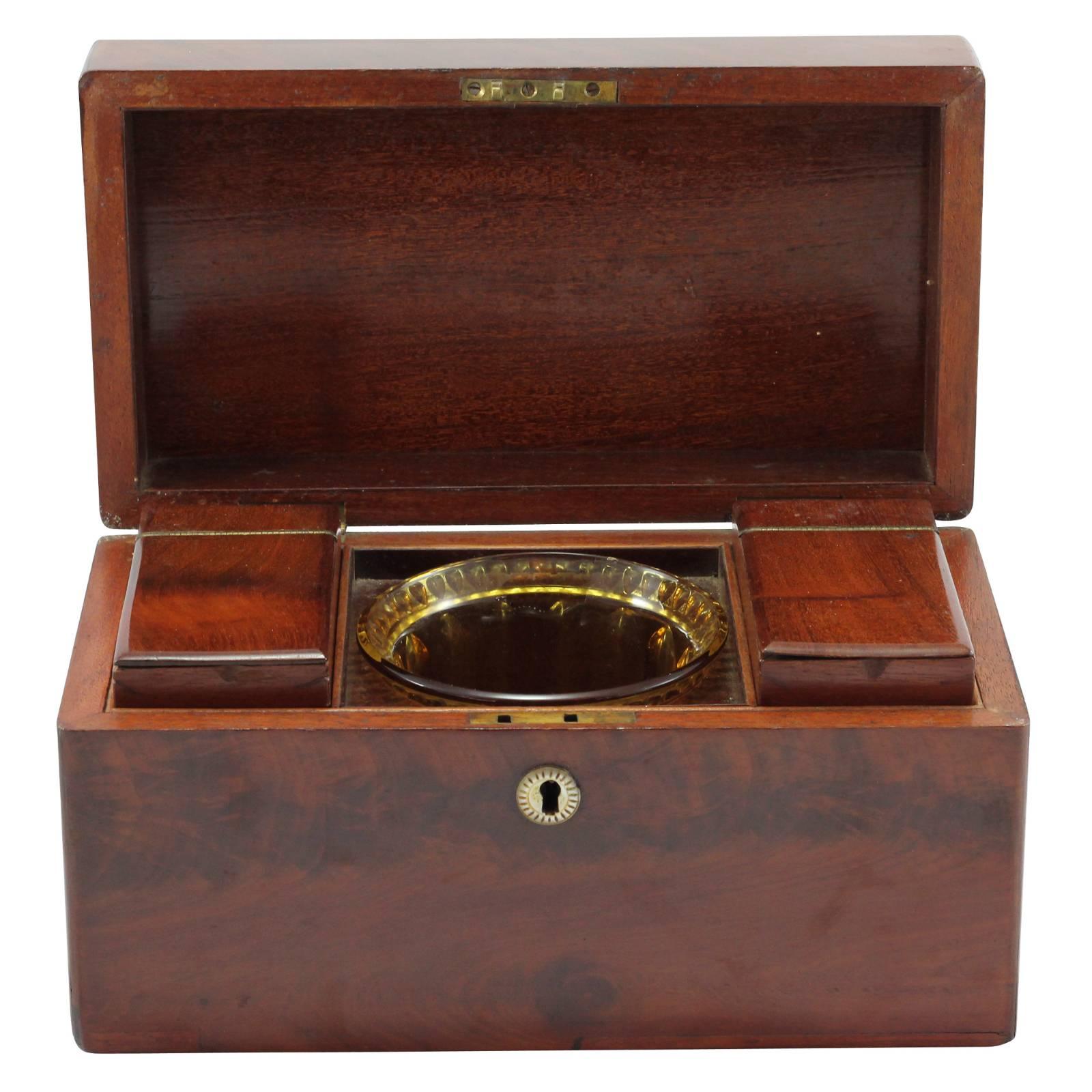 British Early 19th Century Regency Rosewood Tea Caddy For Sale