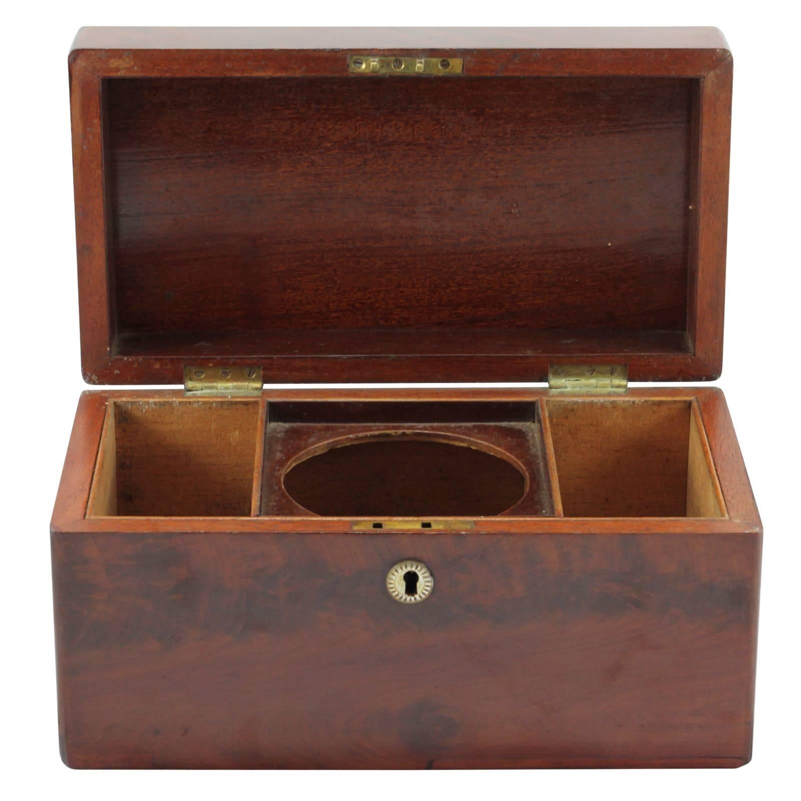 Early 19th Century Regency Rosewood Tea Caddy For Sale 1