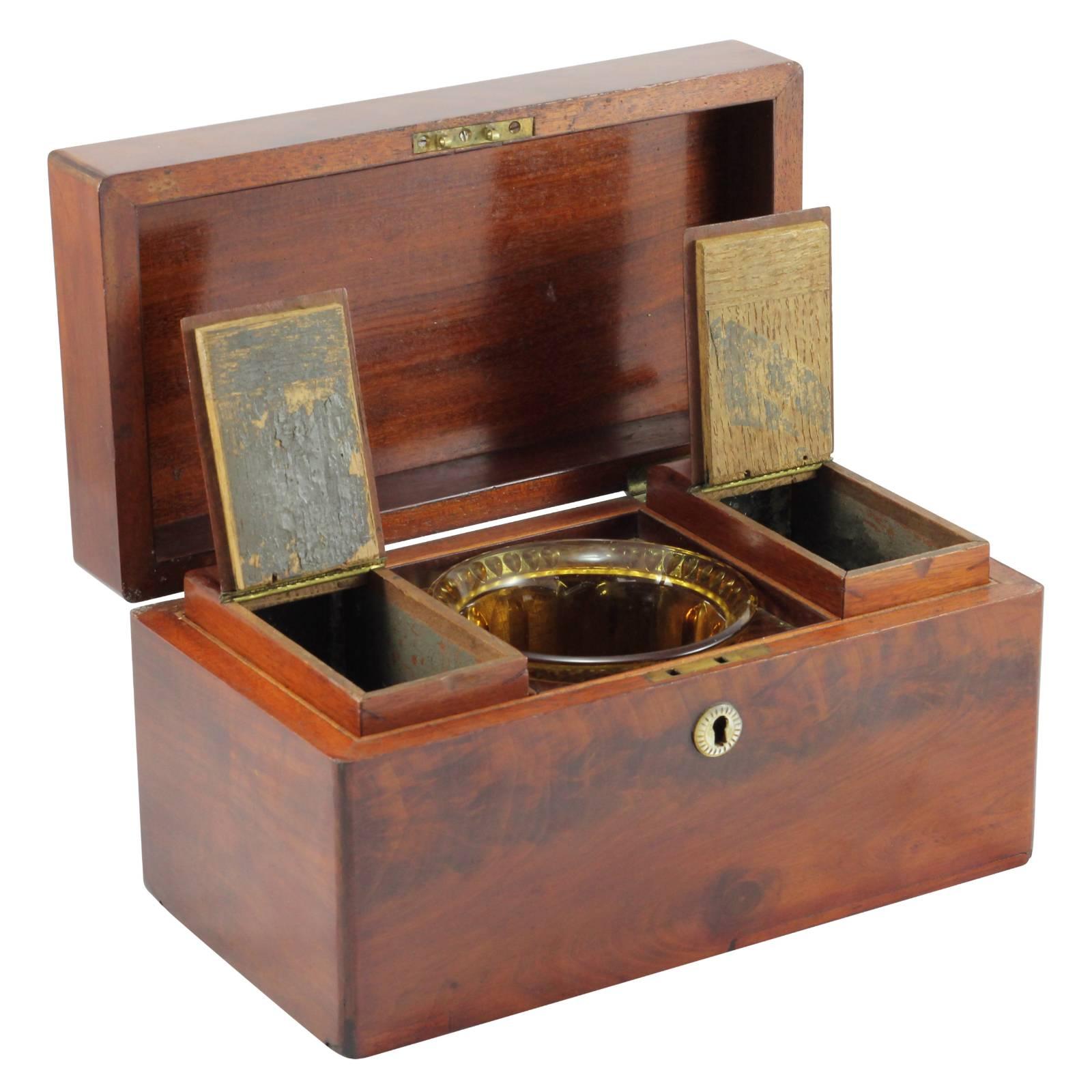 Early 19th Century Regency Rosewood Tea Caddy In Excellent Condition For Sale In Brisbane, Queensland
