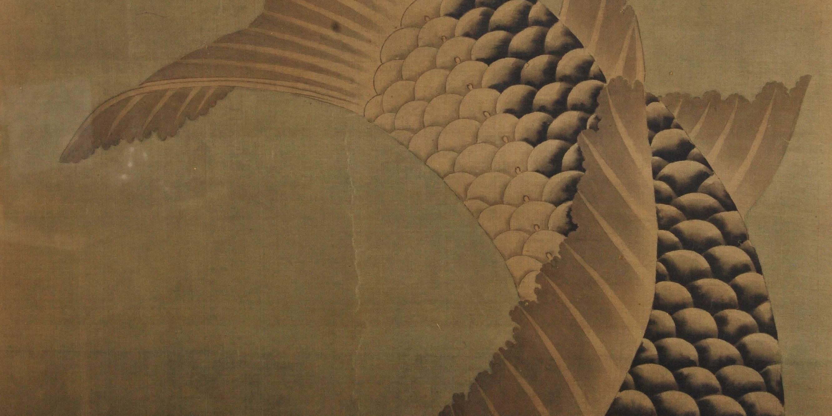 Japanese painting of a carp realistically rendered in an animated and elegant pose, with artist's seal to lower left corner, Edo period, early 19th century.

Materials: Ink and color on silk.

Dimensions: H 109.5cm x W 55cm (framed.)