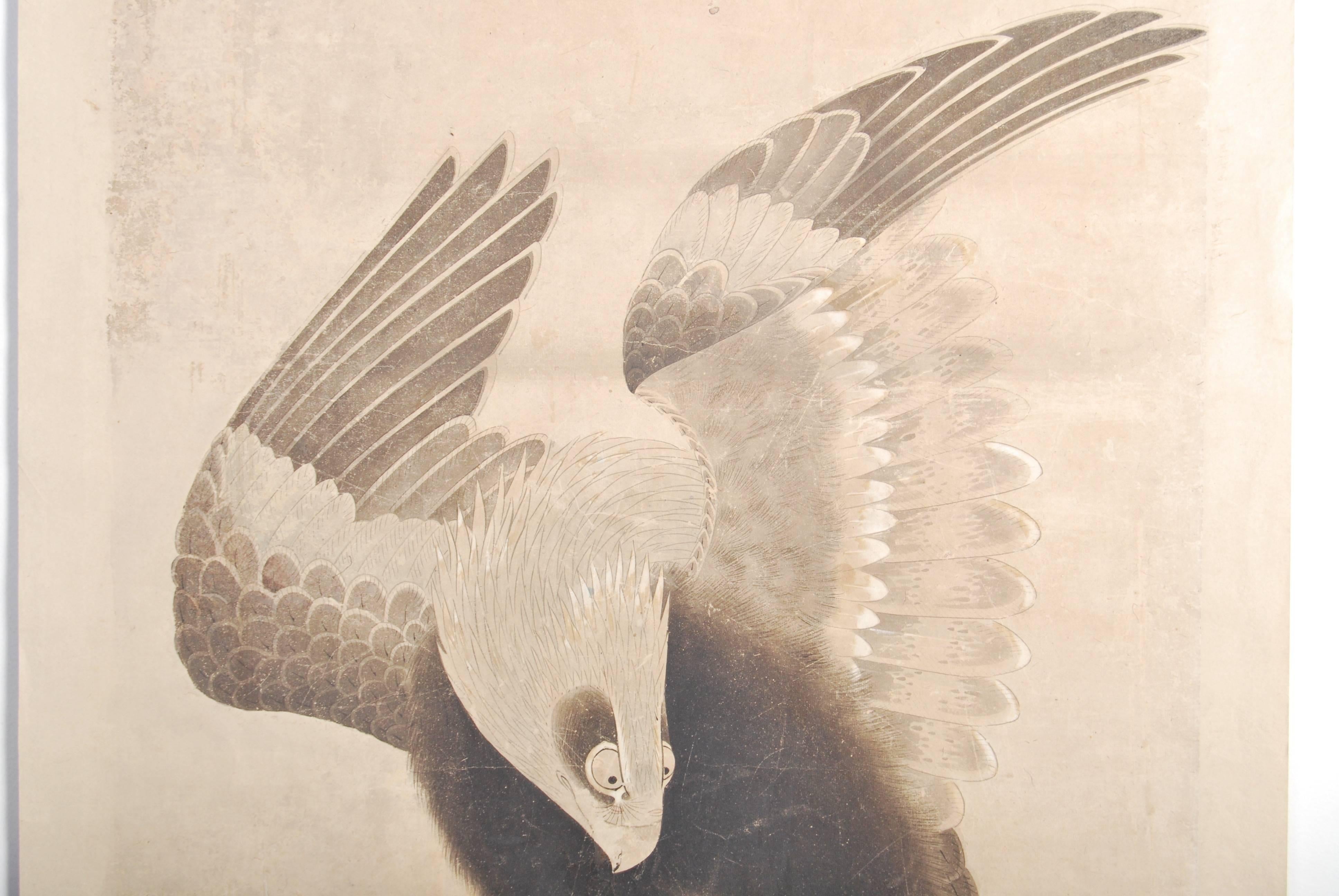 Antique Japanese Soga School Painting of a Hawk on Paper, Edo Period In Excellent Condition In Prahran, Victoria