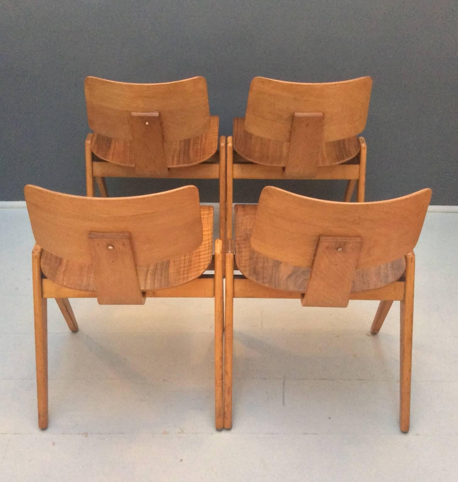 Beech Set of Four Hille Stak Chairs by Robin Day, 1950s
