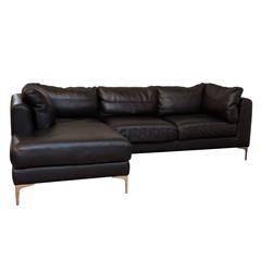 Alberto Leather Sectional from DWR