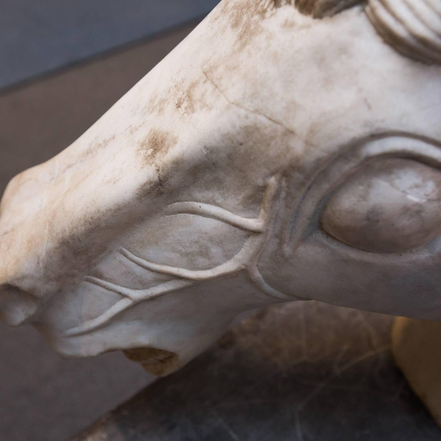 Unknown Marble Horse Head