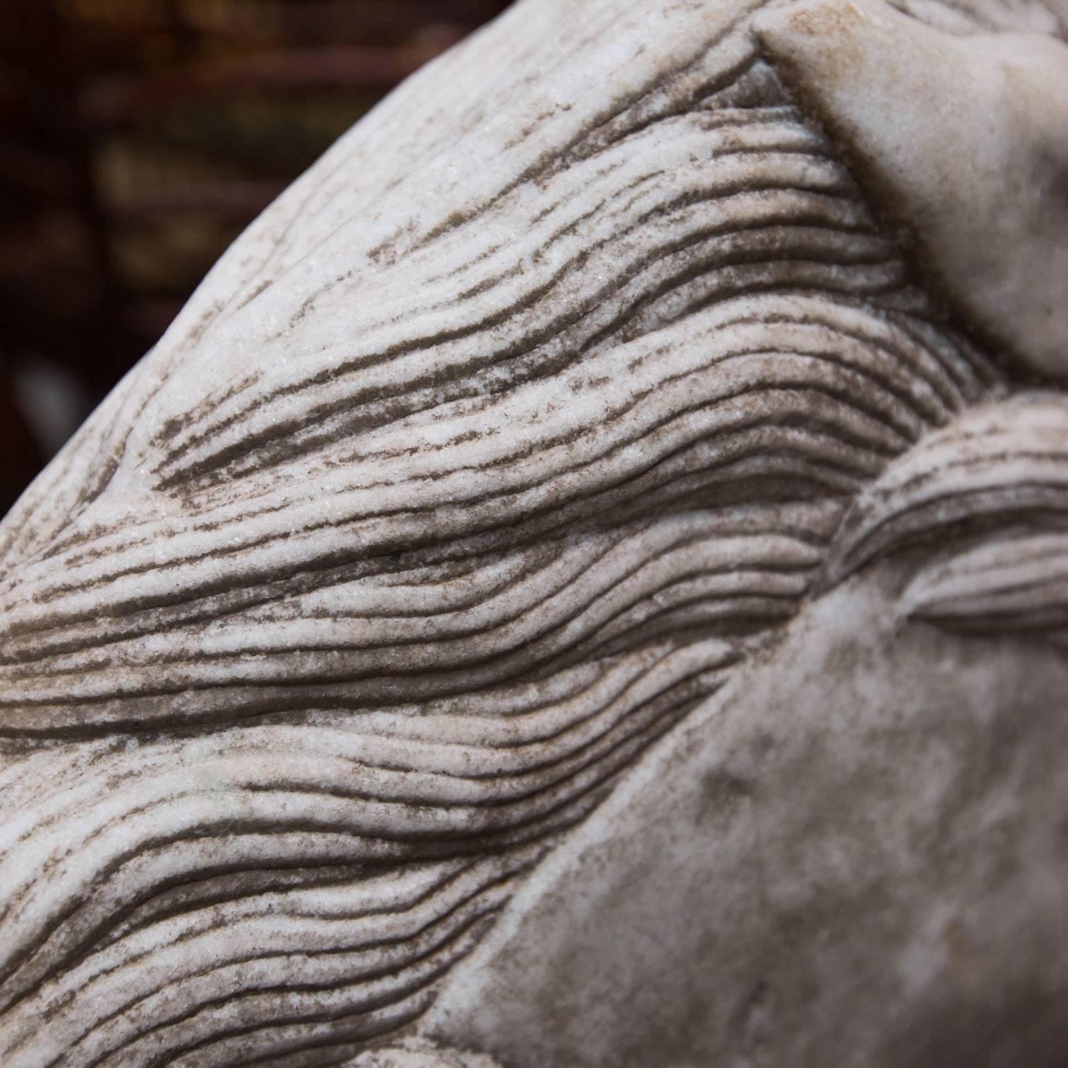 Marble Horse Head 1