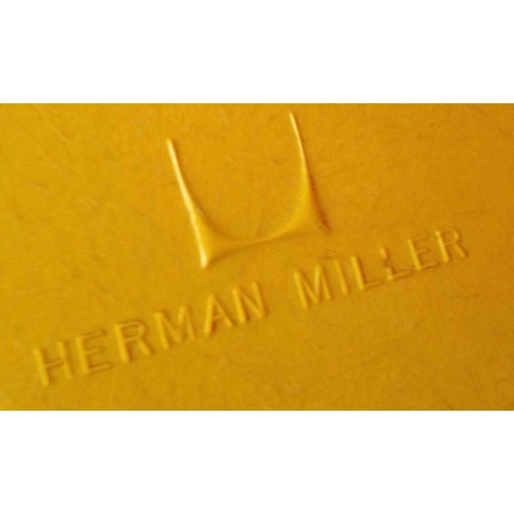 Mid-Century Charles Eames for Herman Miller Fiberglass Dining Chairs in Yellow In Excellent Condition In Philadelphia, PA