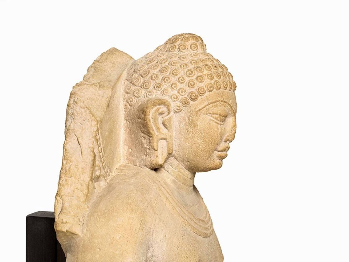 Indian Standing Buddha Sculpture, Gupta Period, 5th Century For Sale