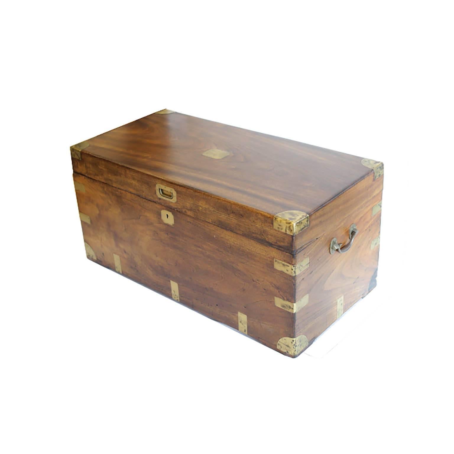 Chinese Early Victorian Camphor Wood Trunk, circa 1850s