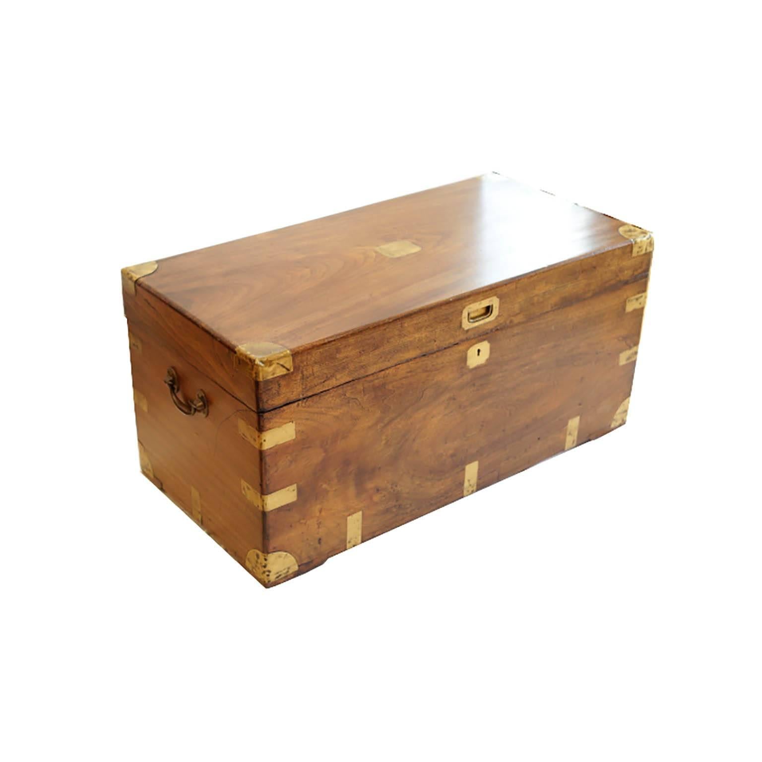 Early Victorian Camphor Wood Trunk, circa 1850s In Excellent Condition In San Francisco, CA