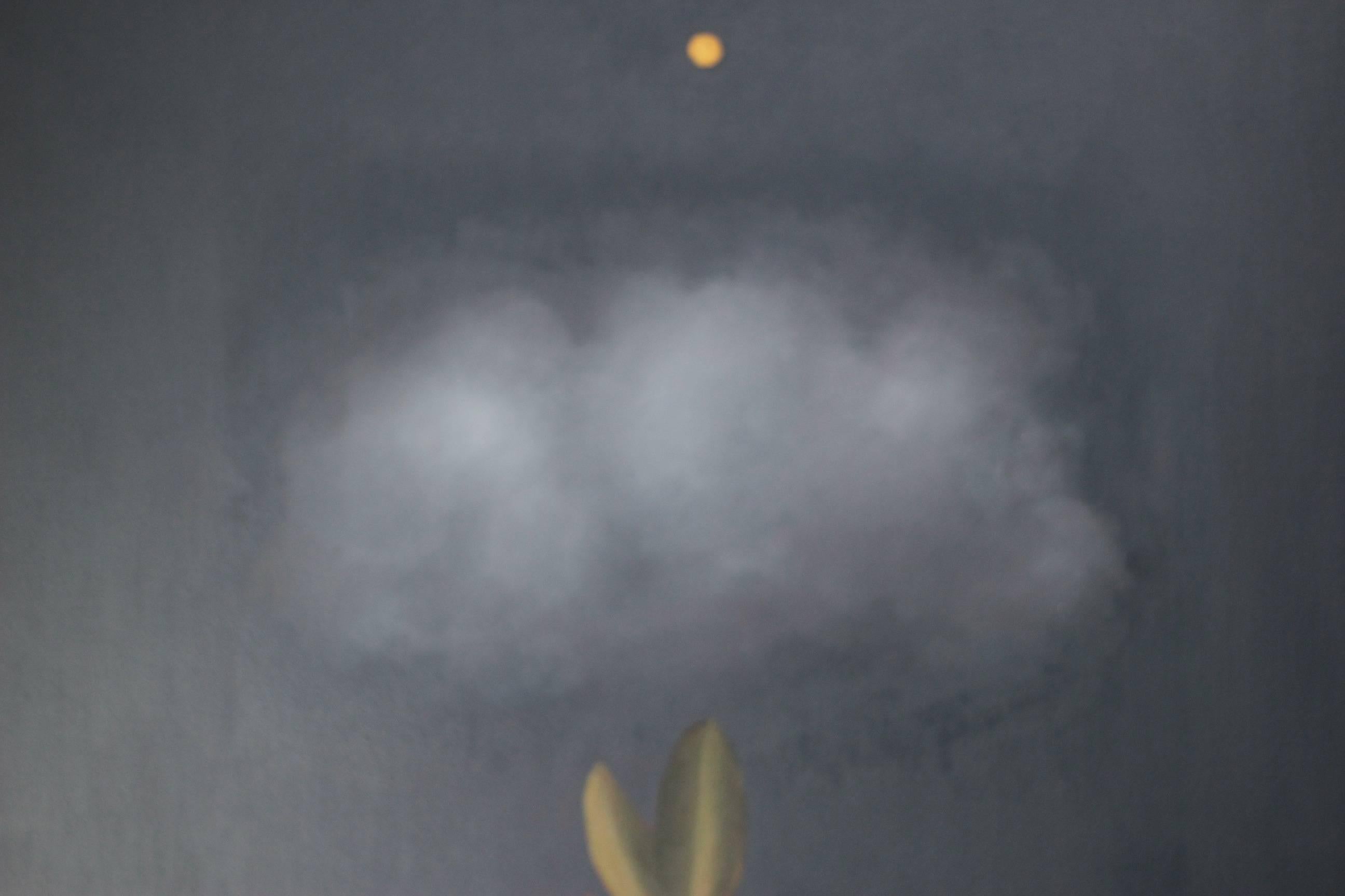 Acrylic on canvas by San Francisco artist Daniel Warth. Painting depicts a bird, a cloud and a seed and is presented unframed.