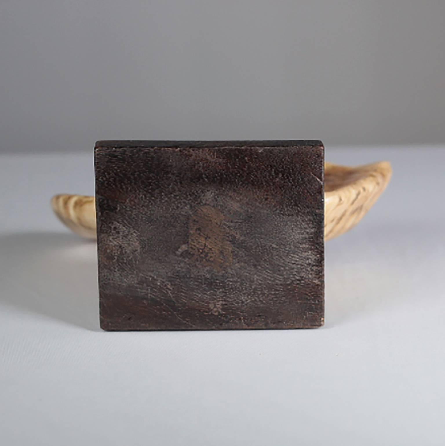 American Early 20th Century Mounted Ram Horn