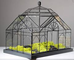Glass "Wardian Case" Terrarium