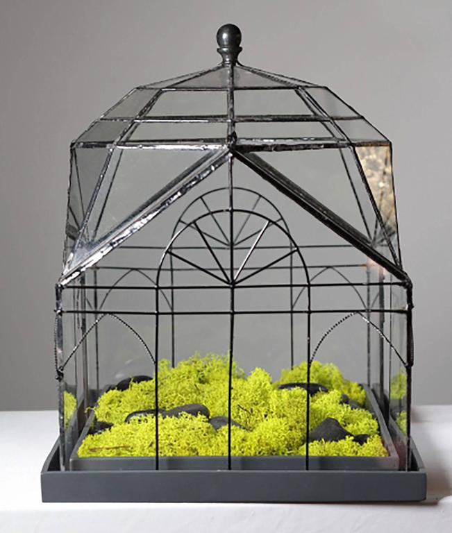 Glass "Wardian Case" Terrarium at 1stDibs wardian case for sale