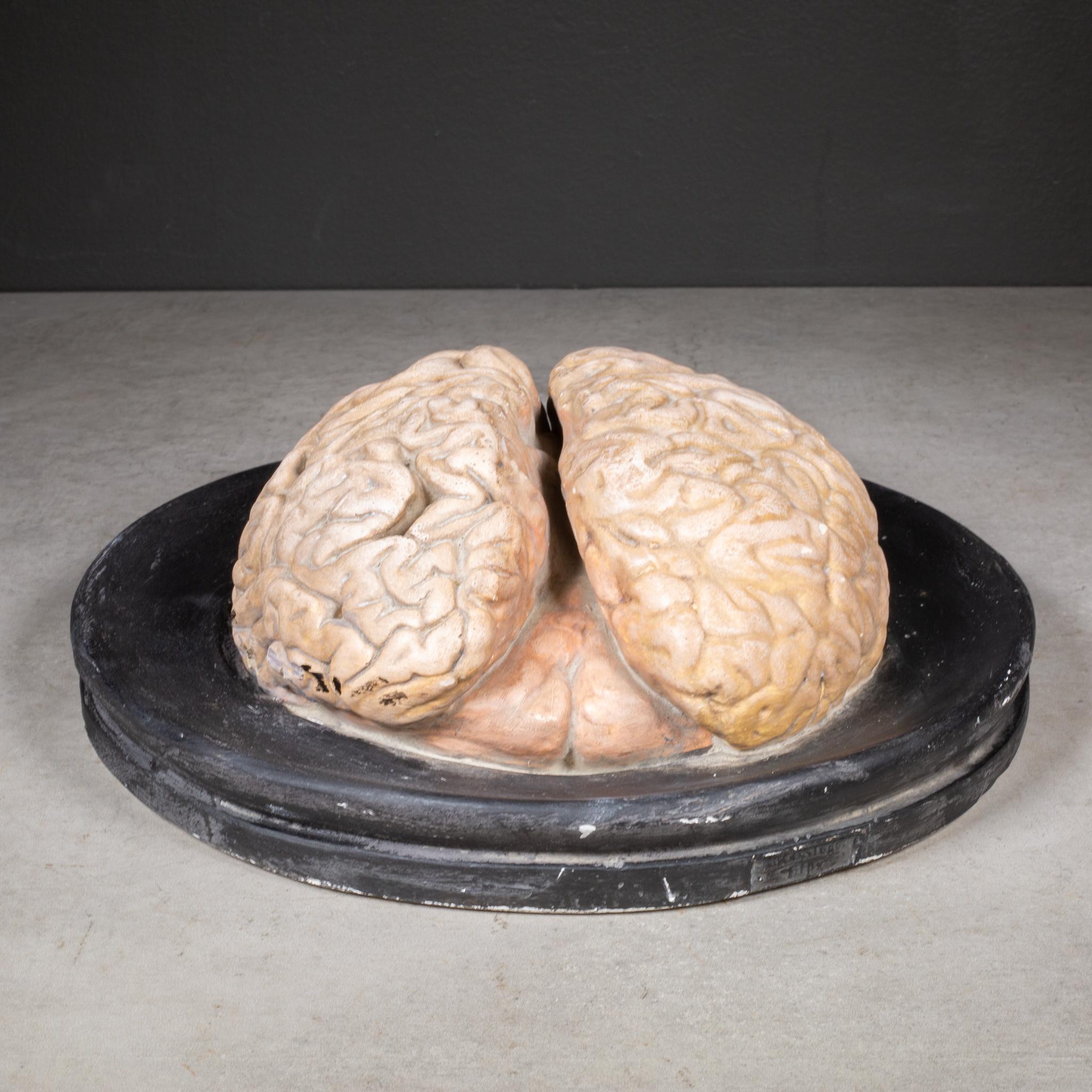 ABOUT

A hand crafted and painted plaster anatomical model of the human brain. Franz Josef Steger and pathological anatomist Carl Ernst Bock collaborated at the University of Leipzig to produce anatomical models for the instruction of students in