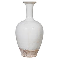Ceramic Ceramics