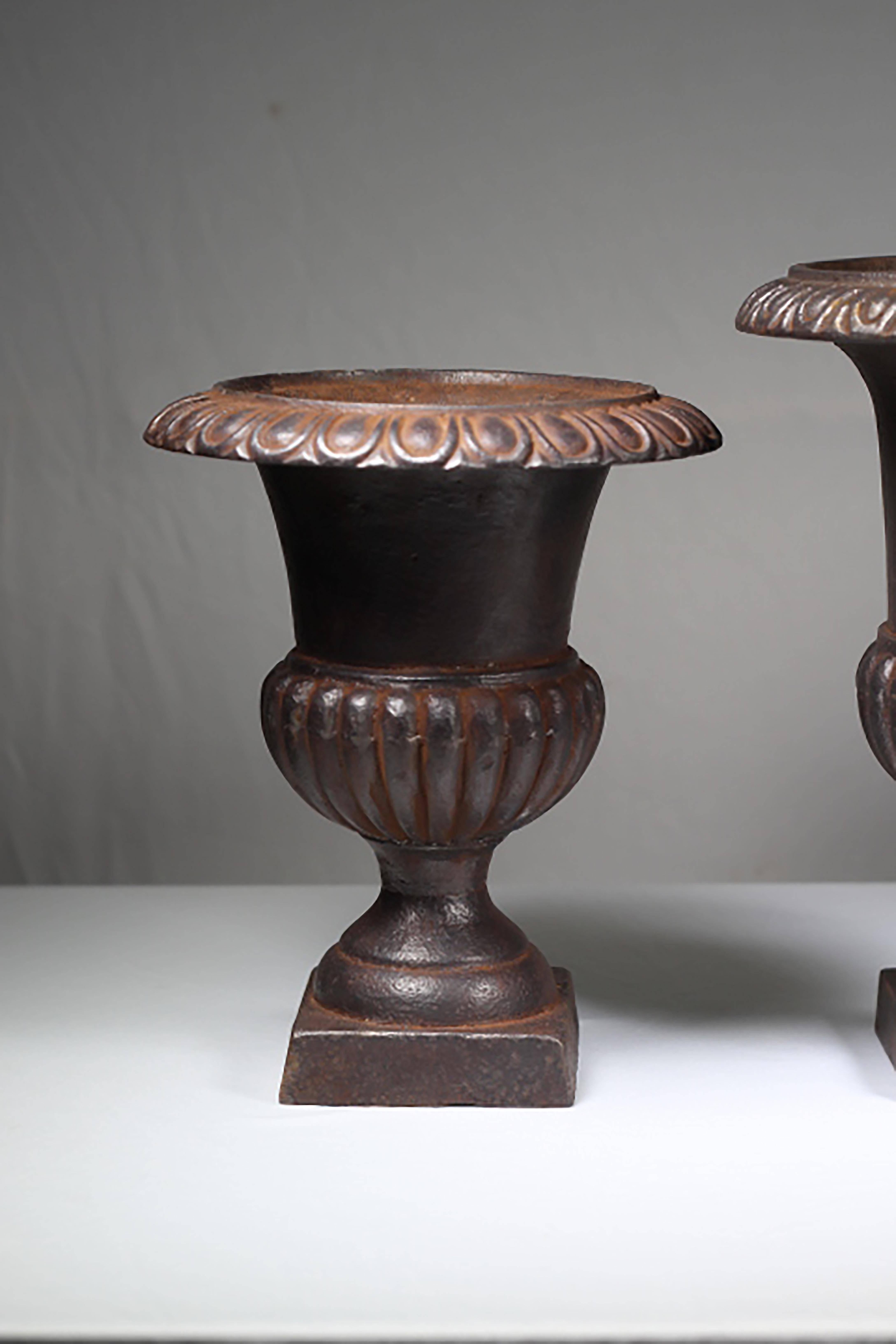 American Early 20th Century Cast Iron Urns