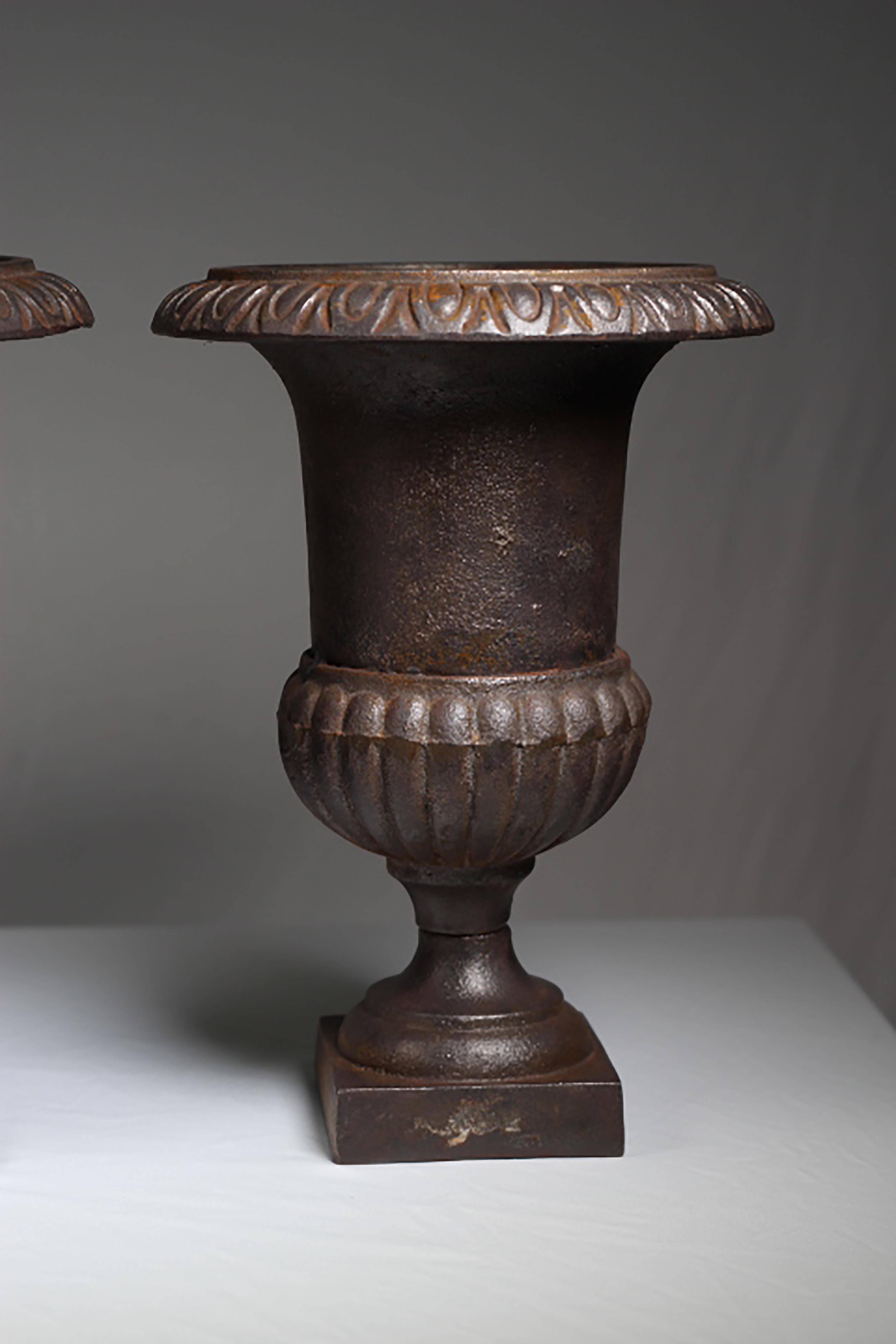 Early 20th Century Cast Iron Urns 1