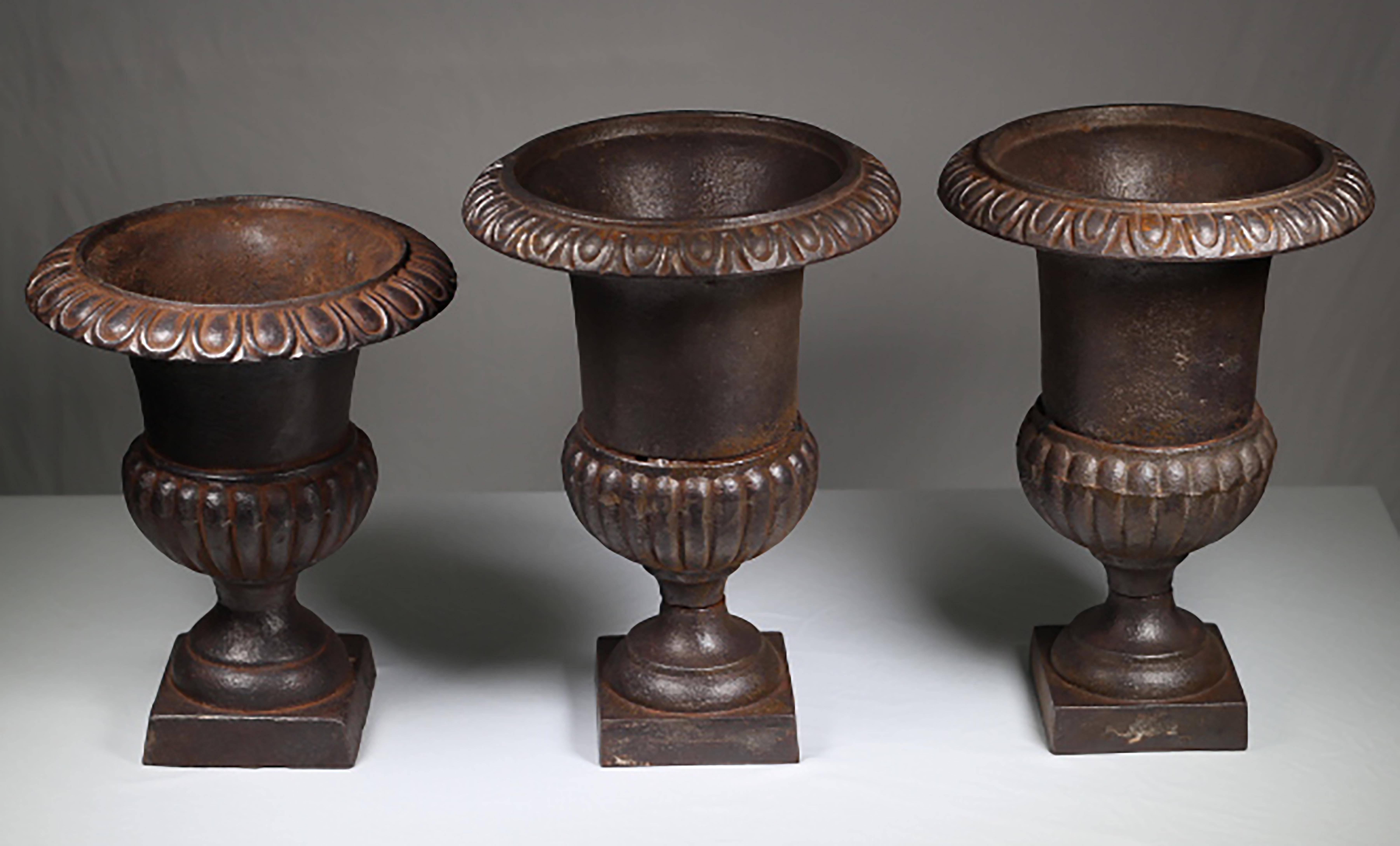 Early 20th Century Cast Iron Urns In Excellent Condition In San Francisco, CA