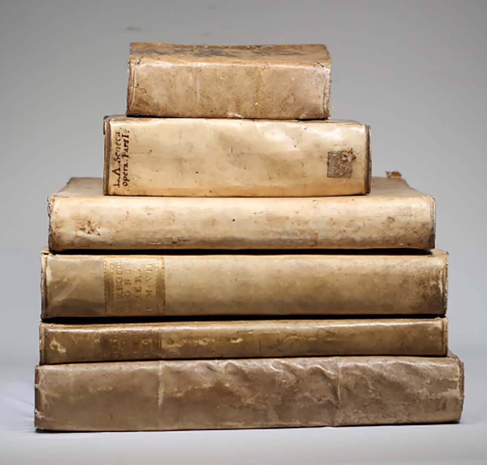 BOOKS MAY BE PURCHASED SEPARATELY 

Collection of 18th century pig vellum books all written in Latin.
Prices and dimensions are as follows: 
Measures:
Image 3: "L. Annaei Senecae M. F. Pholosophi et al." Possibly, circa 1629.
7.75" x