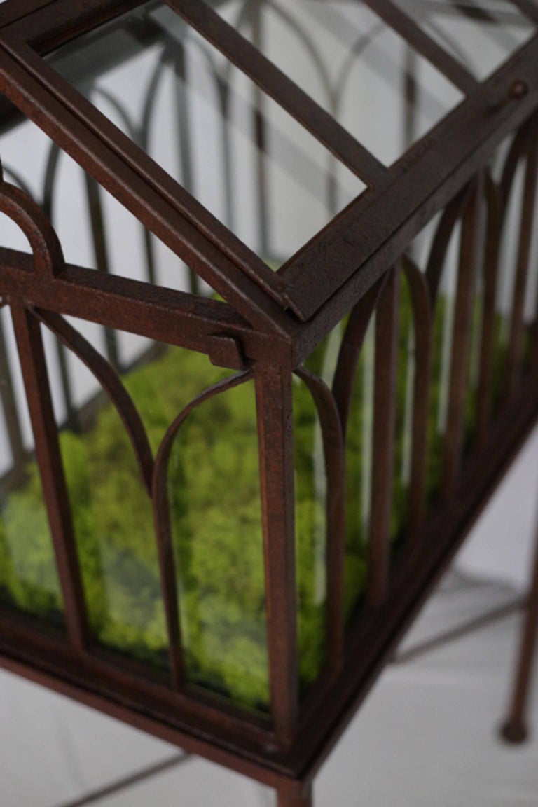 Turn of the Century Antique Wrought Iron Wardian Case on Stand, circa