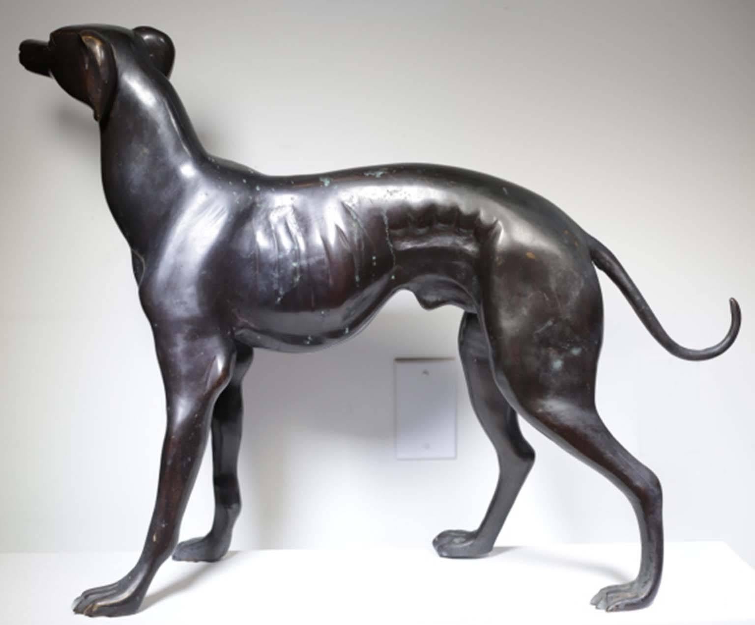 Bronze greyhound in striking pose. Possibly comes from the now gone Cliff House in San Francisco but not confirmed.