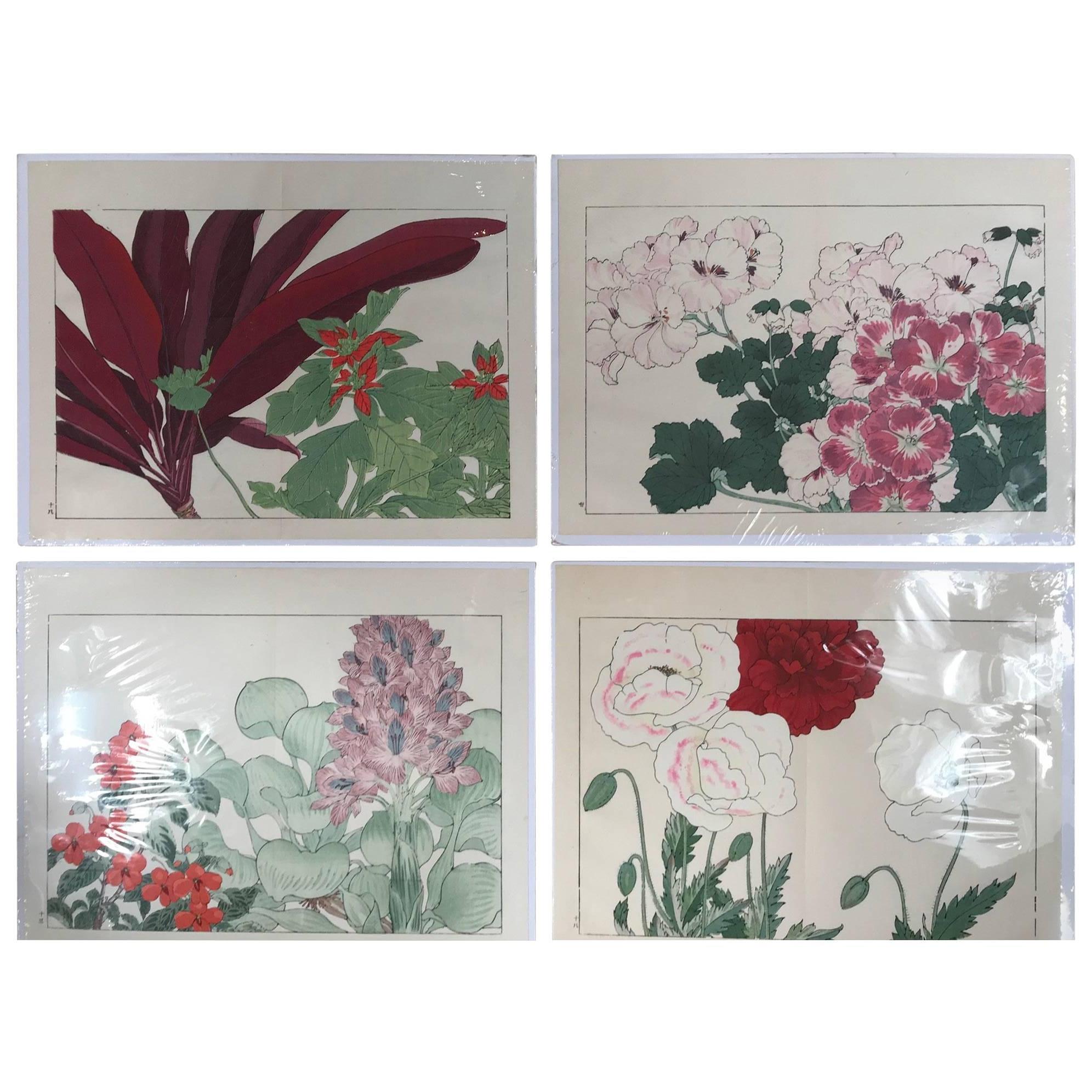 Japanese Old Woodblock Flower Prints Tanigami Konan  Immediately Frameable #2