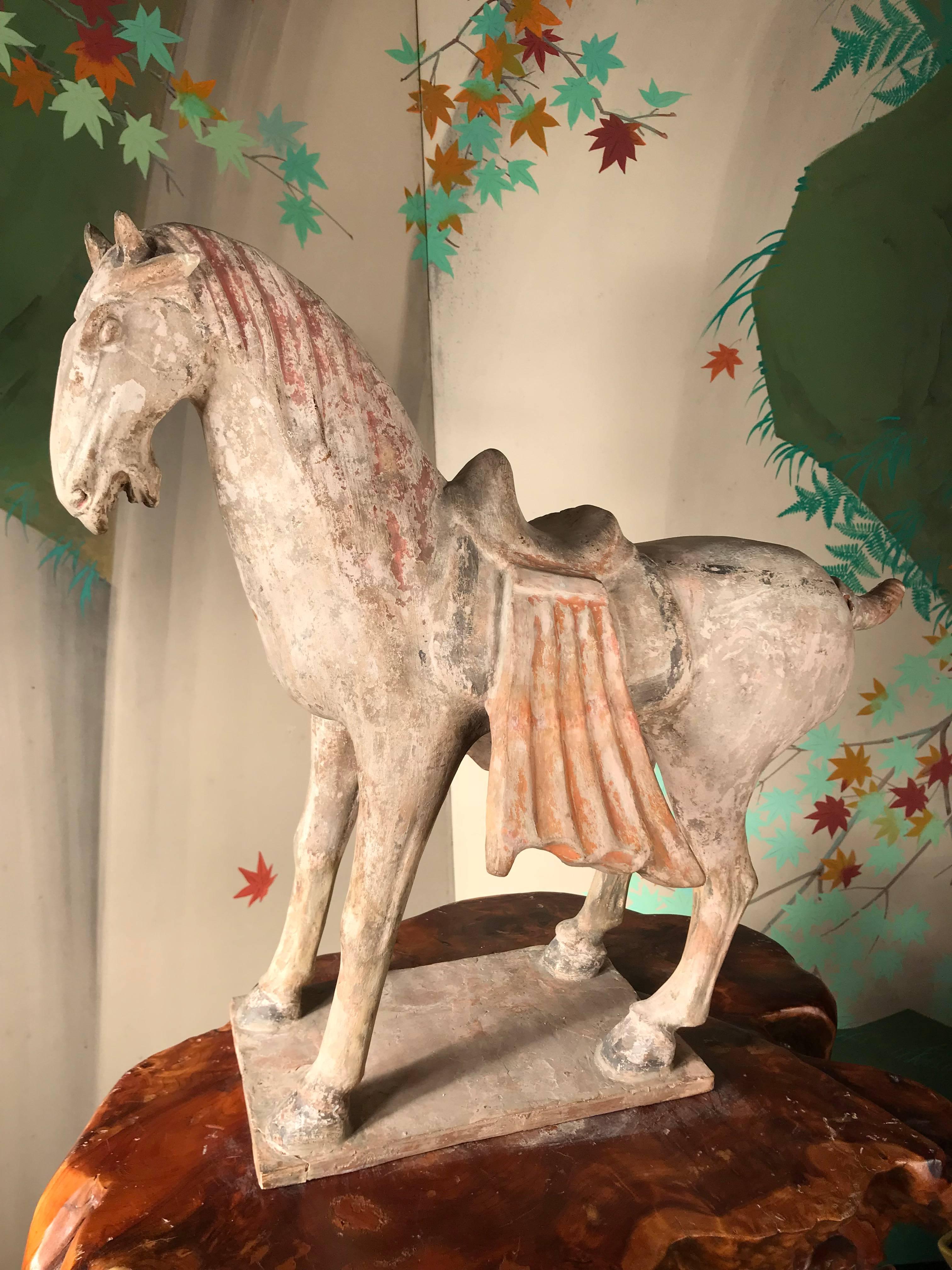 Fine Large Ancient Chinese Painted Pottery Horse, Tang Dynasty, 618 CE- 907 CE In Good Condition In South Burlington, VT