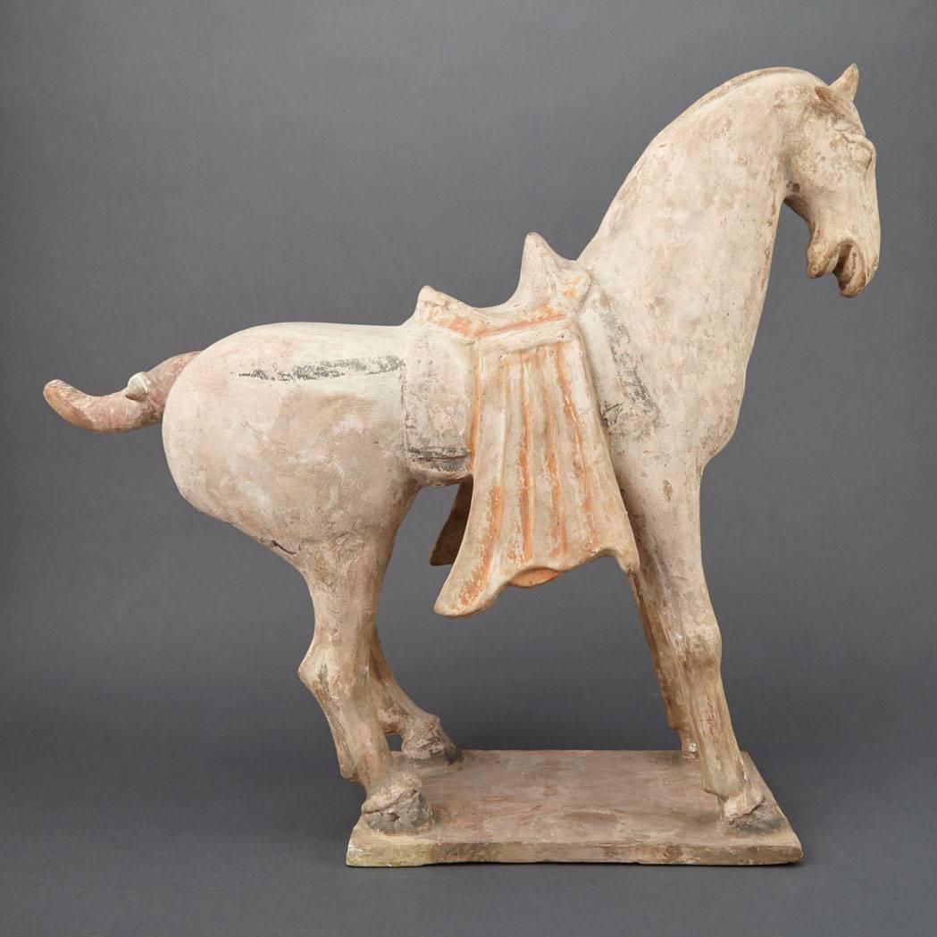 Fine Large Ancient Chinese Painted Pottery Horse, Tang Dynasty, 618 CE- 907 CE 2