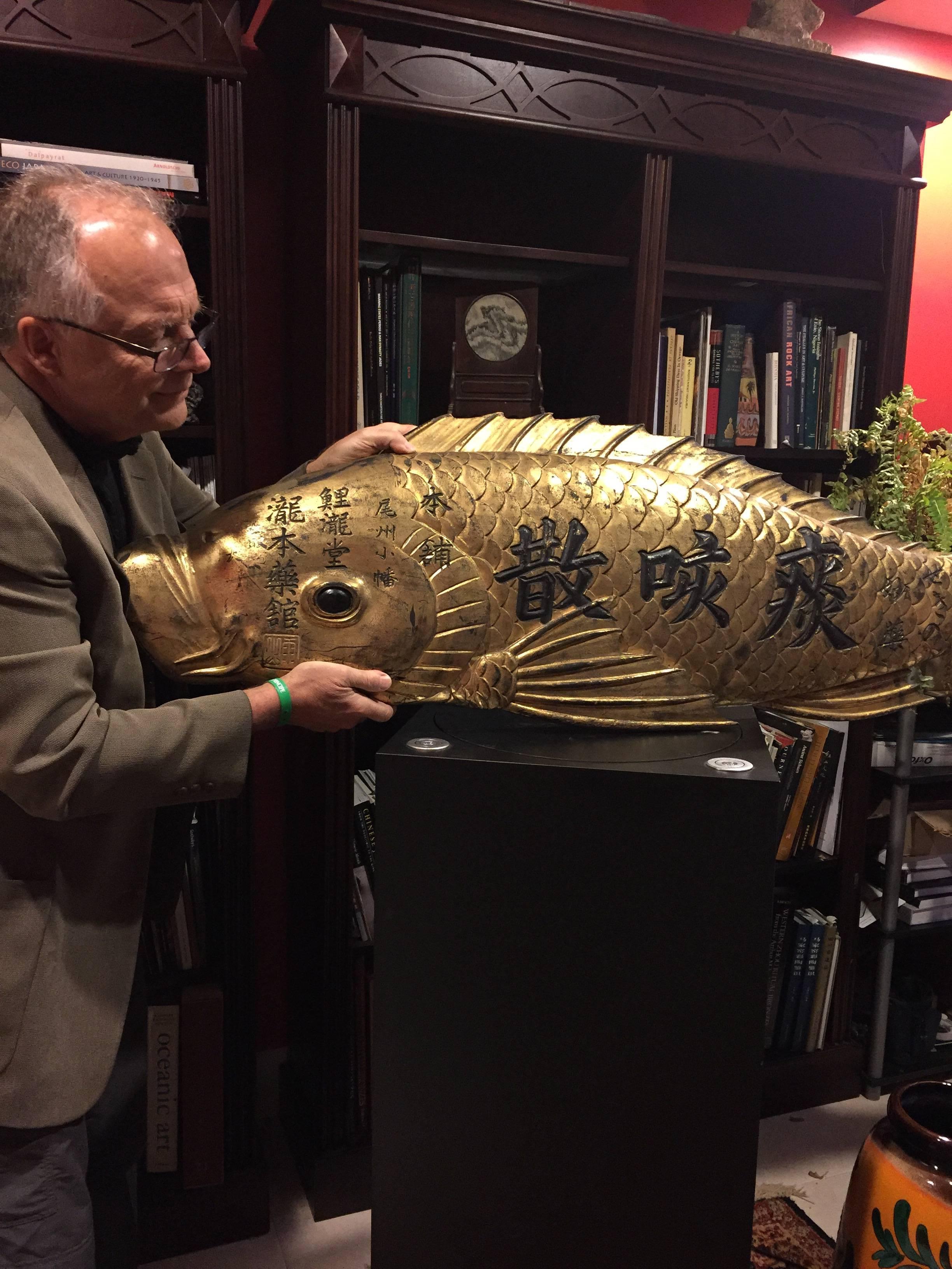 Japan, a superb hand made. hand carved, and hand gilded monumental antique gold gilt and lacquered sign kanban in the form of a Koi fish, 16” high and 56” long, Meiji period (1868-1912).

The carved Japanese zelcova (keyaki) wood and gold gilded