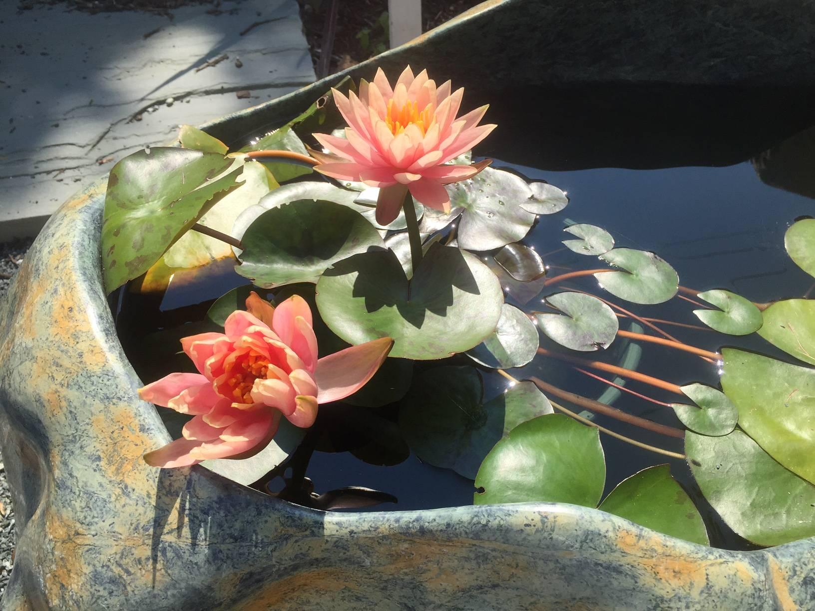 Metal Monumental Antique Japanese Lotus Flower Bouquet Sculpture Indoor or Garden