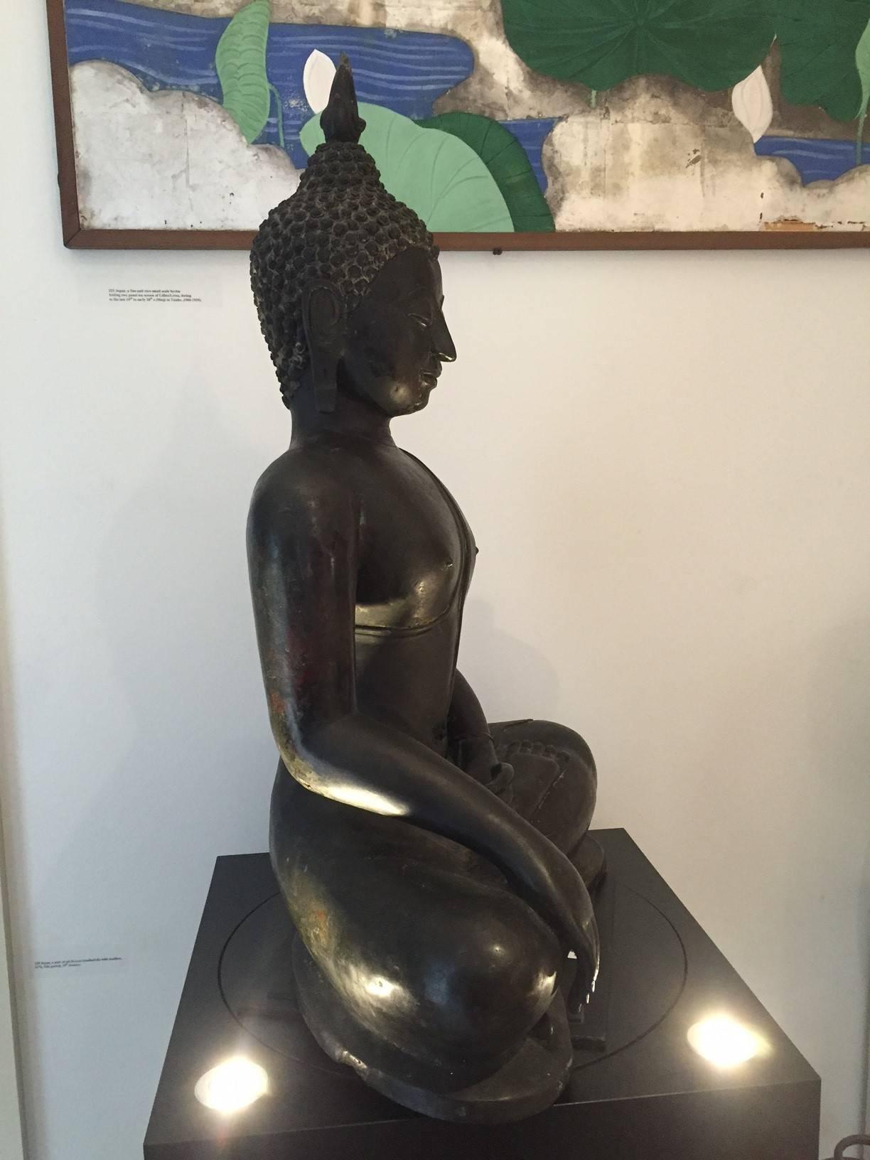 Monumental Bronze Seated Buddha, 19th Century, Old Collection 5