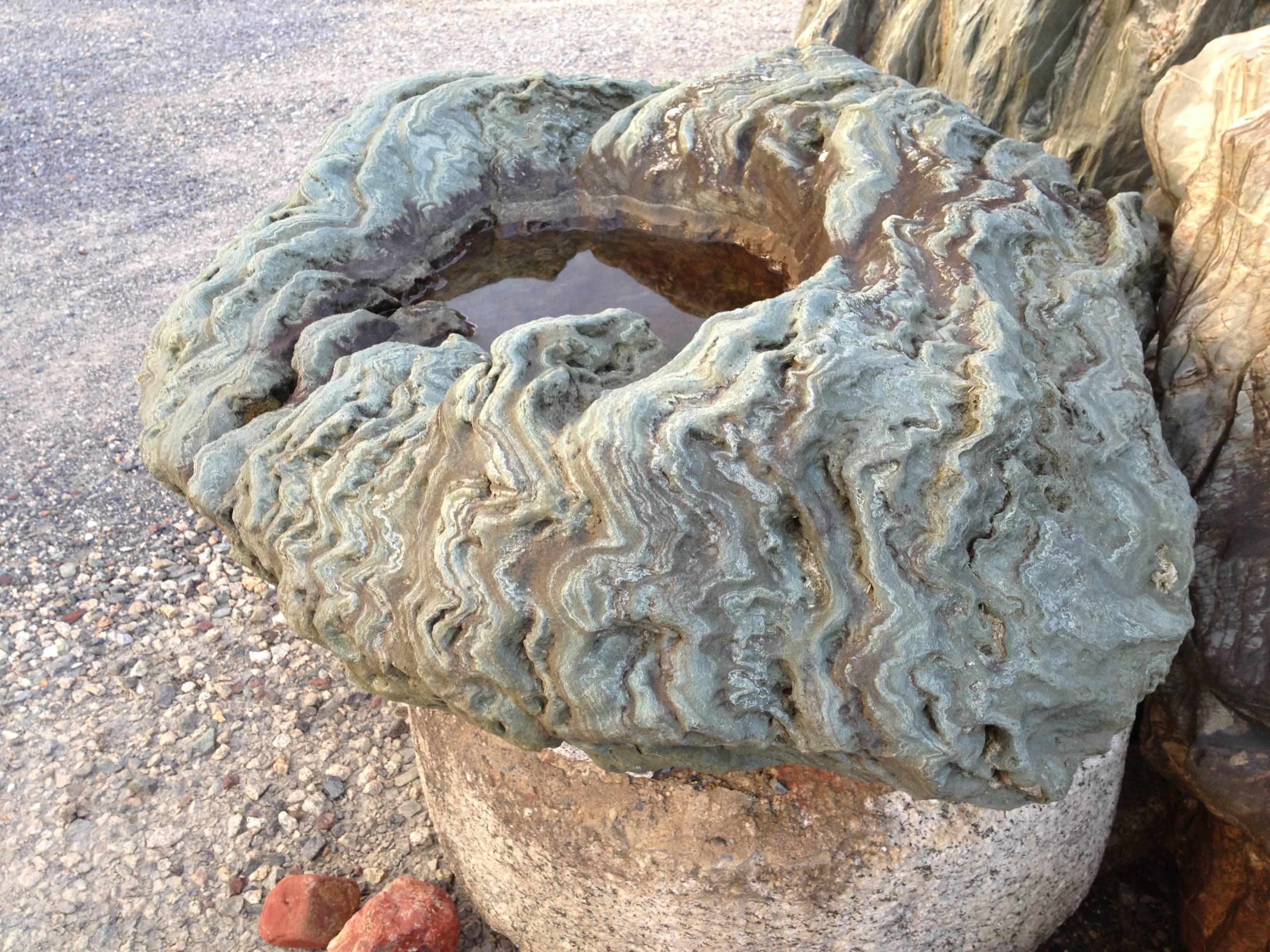 Wow! From Japan, we were lucky to find this natural and extraordinary one-of-a-kind work of art! It is a large natural green color stone water or plant basin in natural boulder form - notice the ancient rippled surfaces! This one was sourced from a