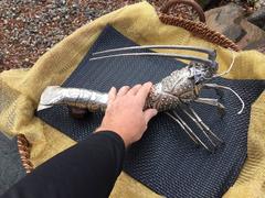 Ultimate Big Lobster in Sterling Silver