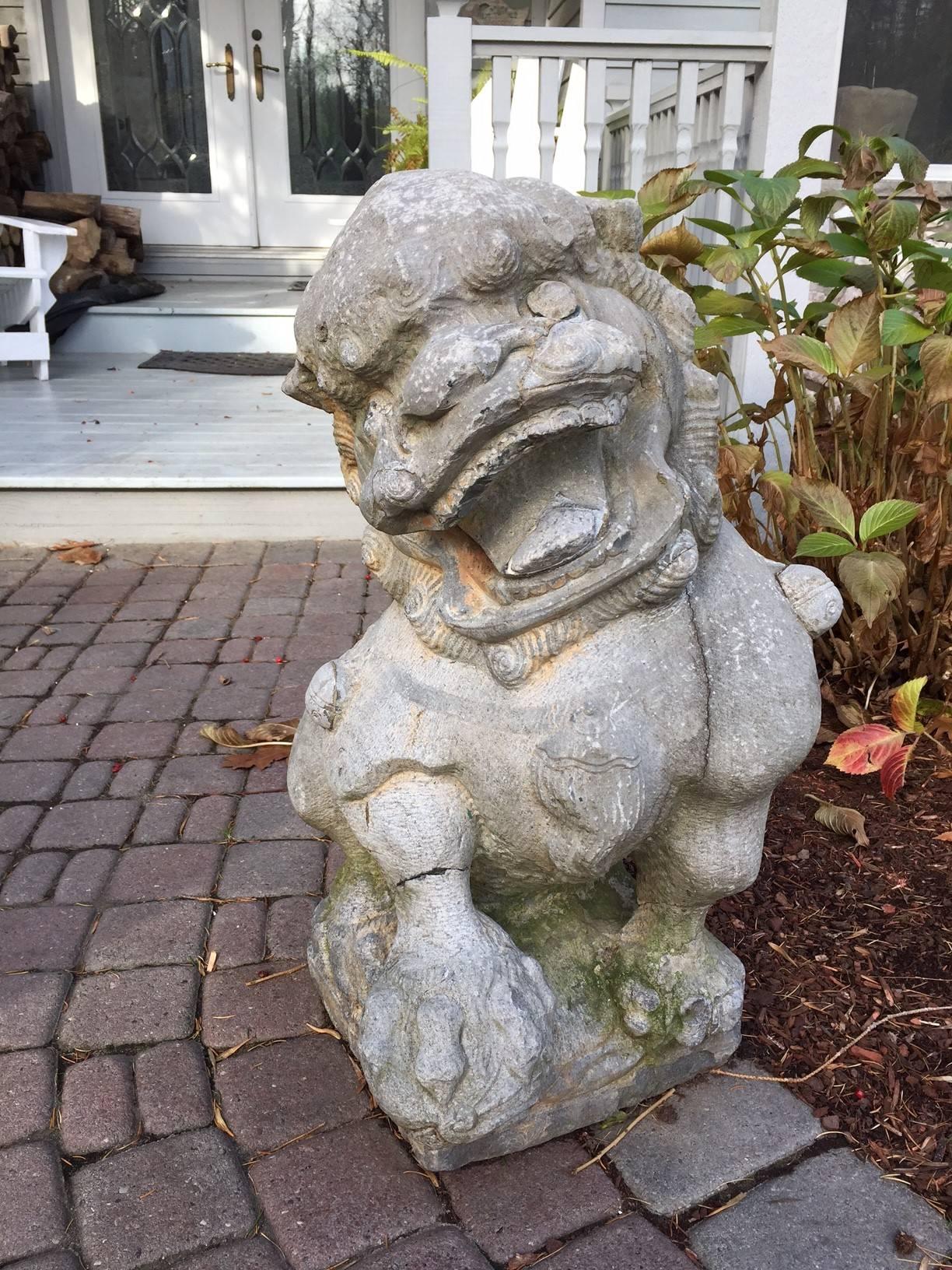China- a nice pair of large antique hand-carved stone foo dog guardian lions carved about 100 years ago.

Dimensions:  They measure 30 inches  high and 23 inches wide each. 

Provenance: Old New England collection.

This is a one-of-a-kind treasure