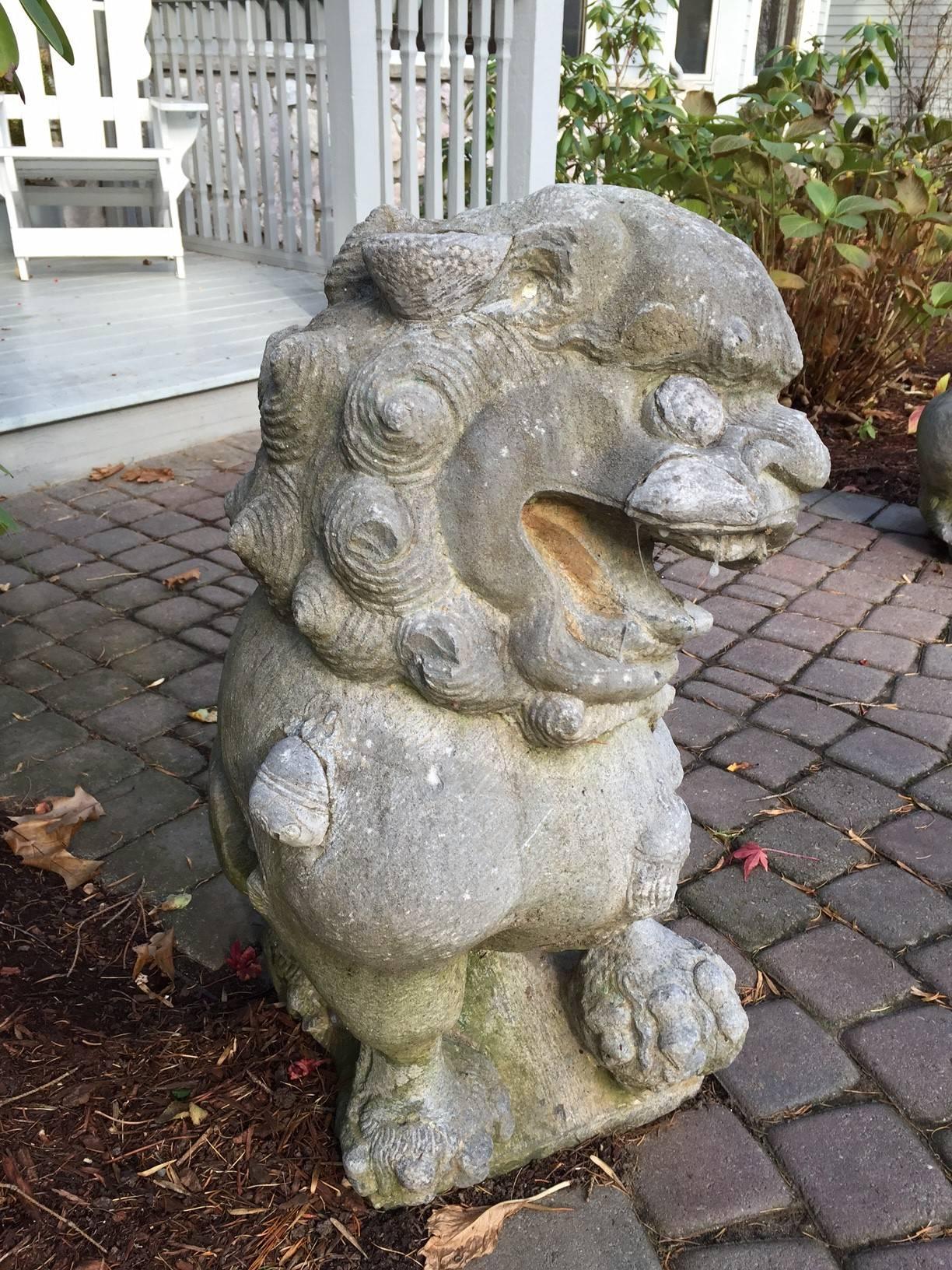 chinese guardian lions for sale