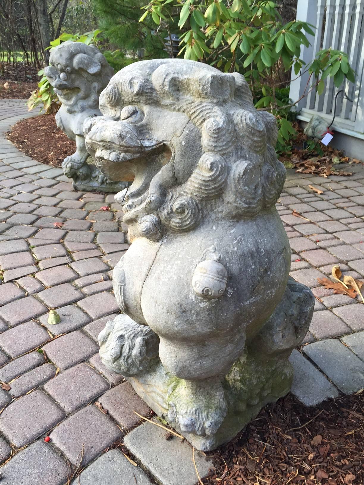 Qing China Pair Large Antique Hand-Carved Guardian Lions Dogs for Garden or Home 