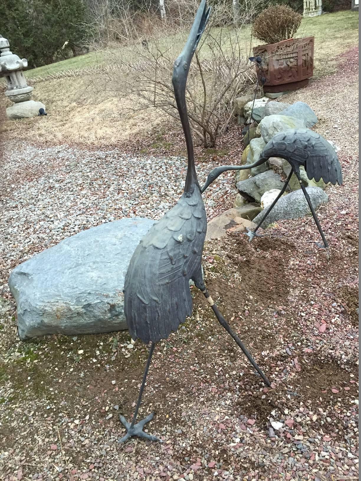 Japan, a wonderful set of three large-scale antique hand caste bronze cranes. Fine patinated surfaces. Tallest measures 39.5