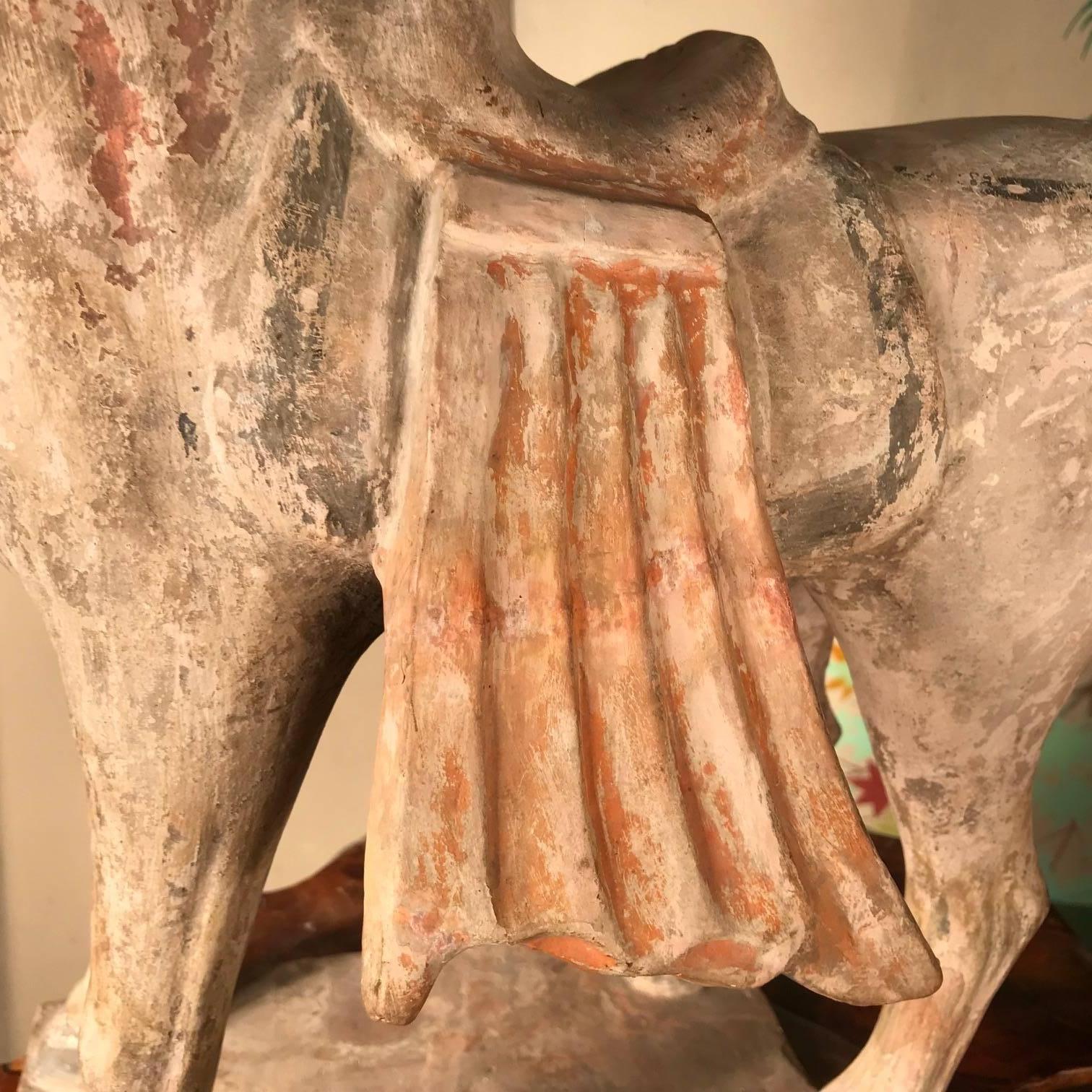 Terracotta Fine Large Ancient Chinese Painted Pottery Horse, Tang Dynasty, 618 CE- 907 CE
