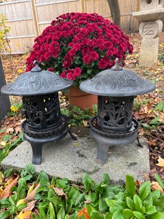 Antique Hand-Painted Japanese Garden Lanterns with Iris Flowers