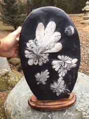 Chrysanthemum Flower Viewing Stone Signed Specimen from Chinese Artisan