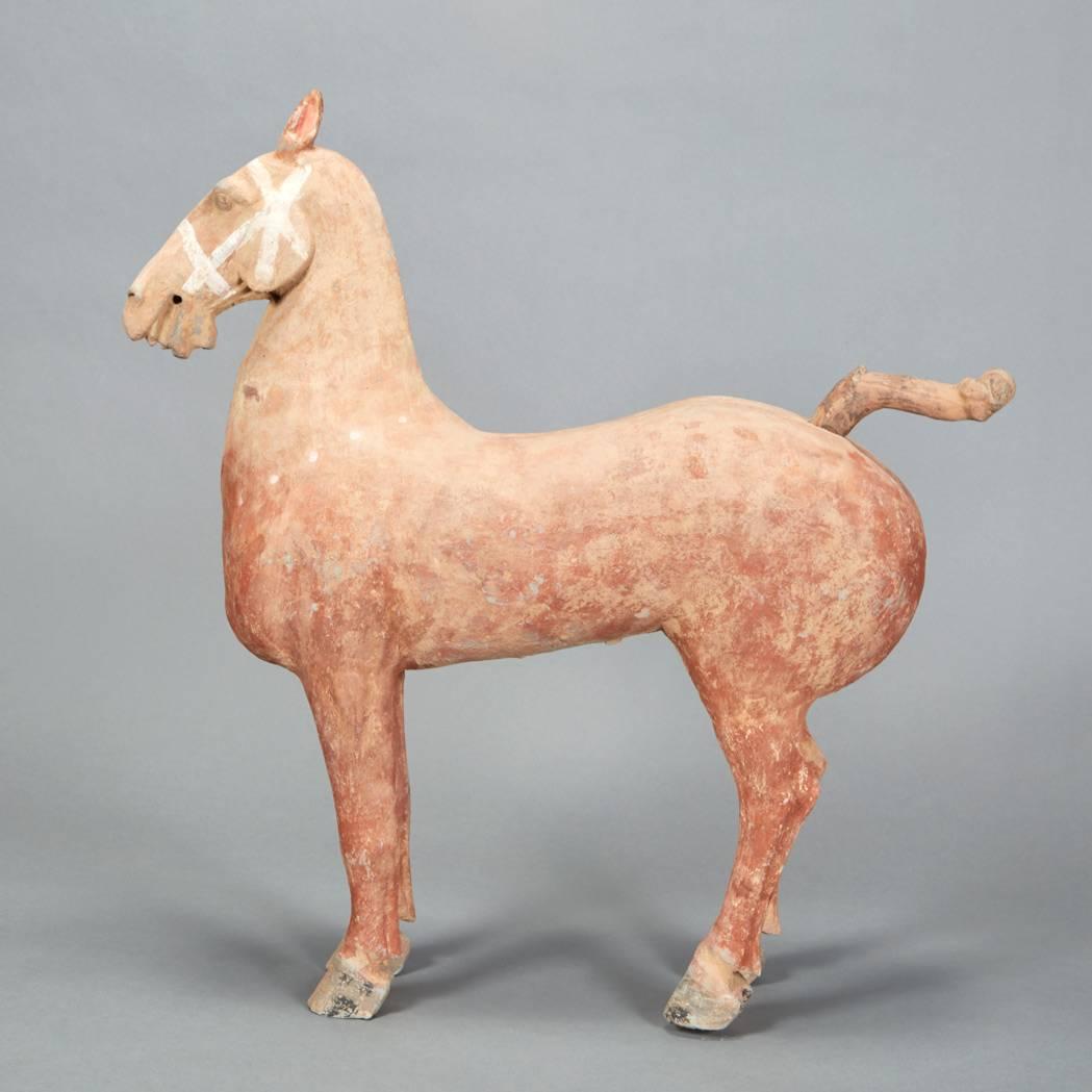 Han China Large Ancient Horse 2000 Years Old, guaranteed authentic
