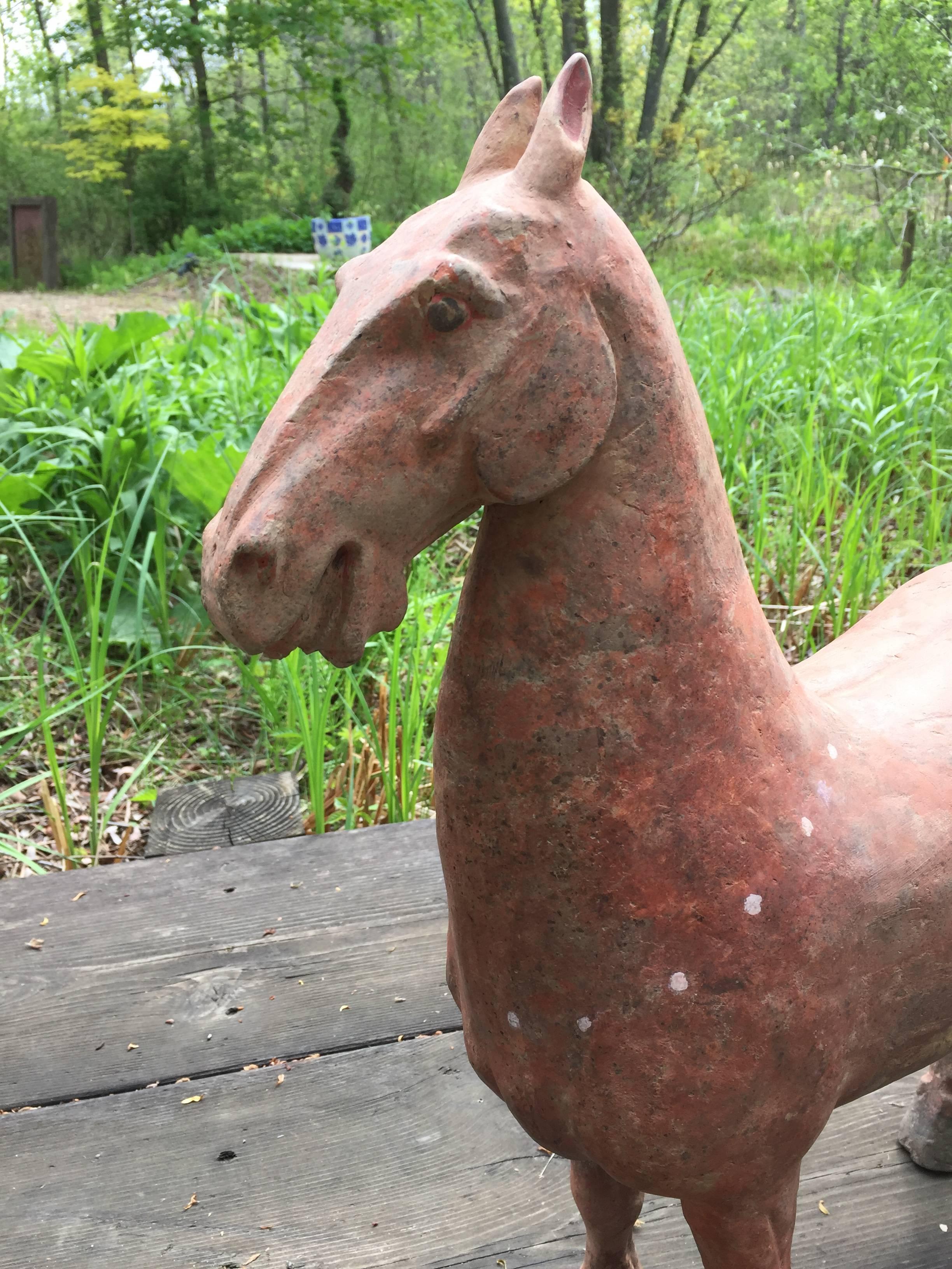 han dynasty horse for sale