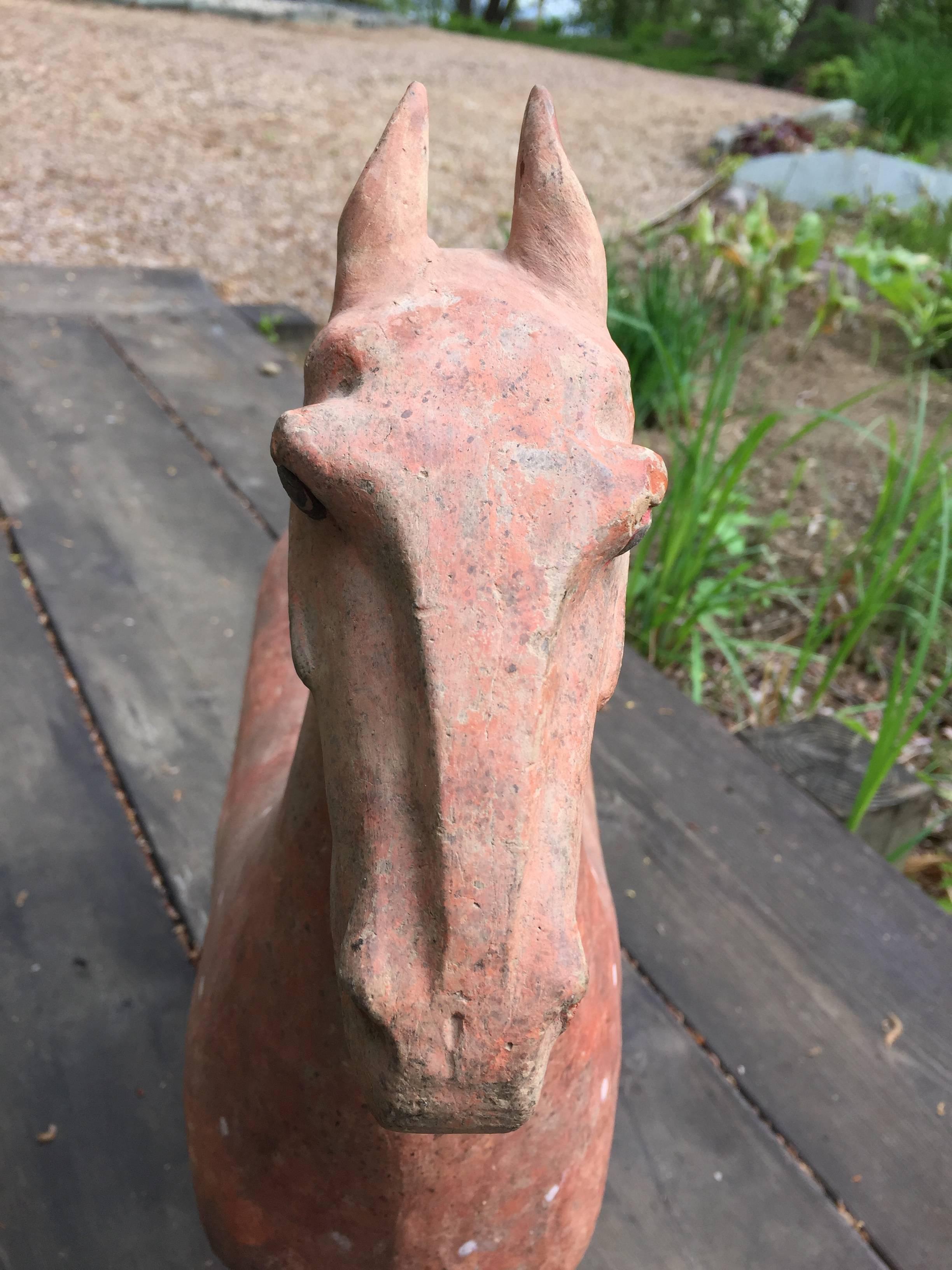 Chinese Ancient Horse Han Dynasty, 206 BCE-220 CE In Good Condition In South Burlington, VT