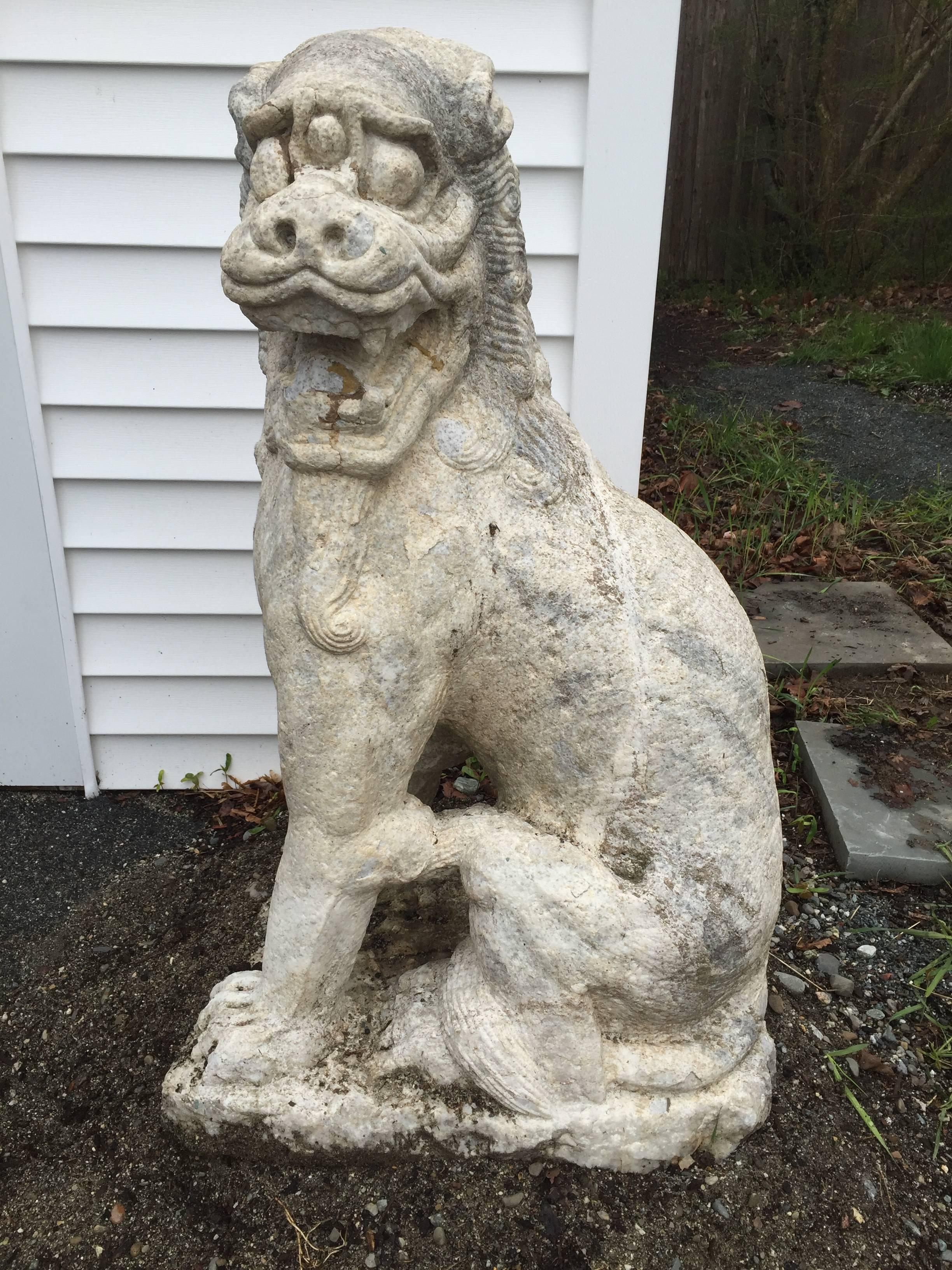 China- a massive pair of large, old hand-carved marble garden stone foo dog guardian lions carved about 50 years ago.

Dimensions:  They measure in at 42 inches high and 19 inches wide and 27 inches deep each. 

Good garden candidates!

Comments: