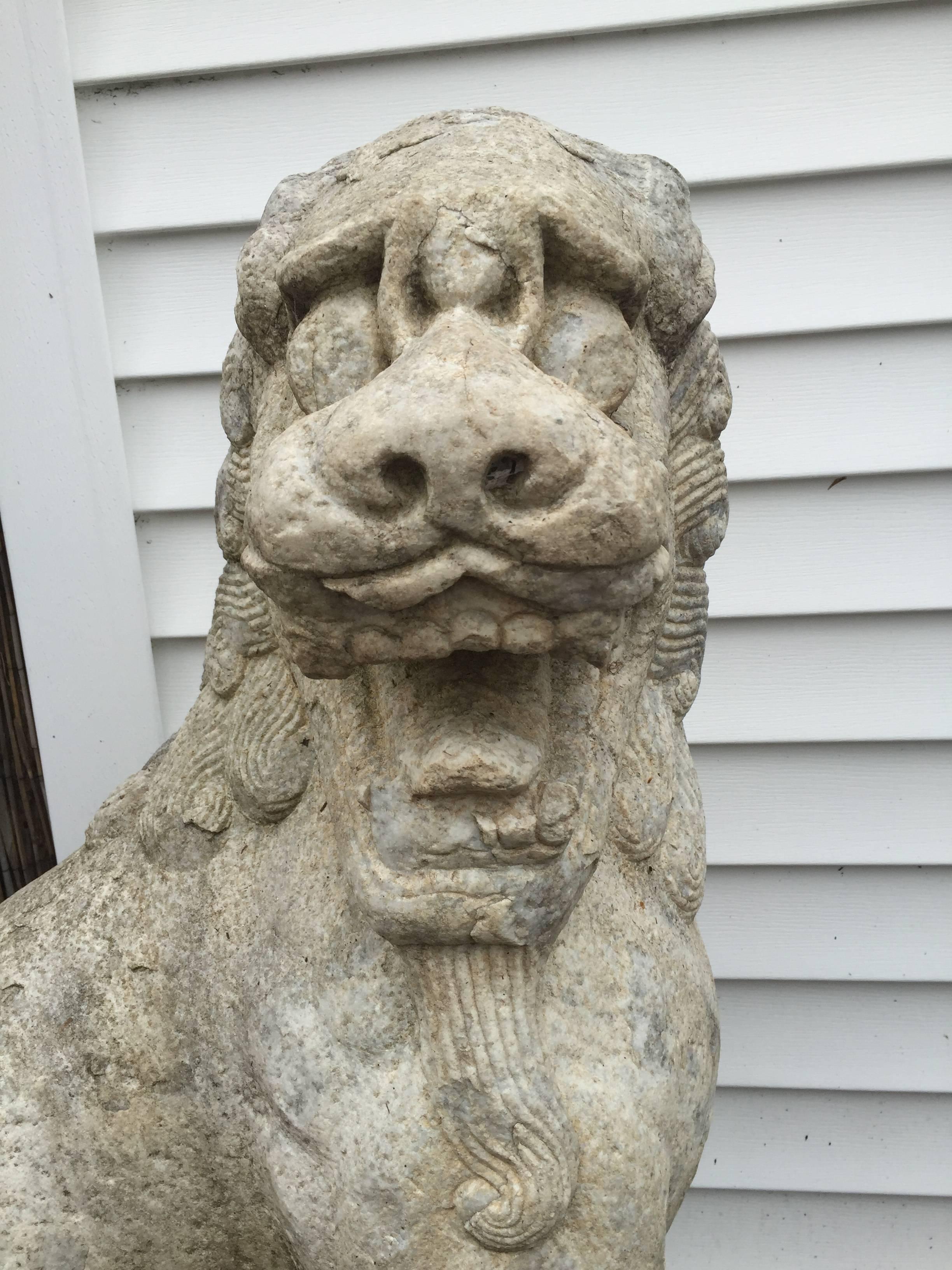 Chinese Old Massive Garden Solid Marble Foo Dog Lions, House Protectors  In Good Condition In South Burlington, VT